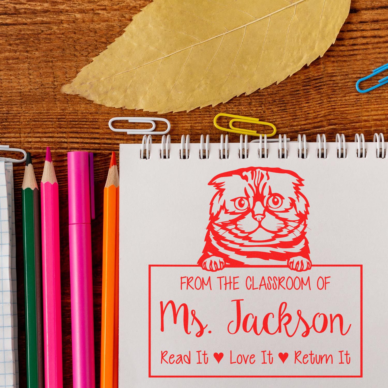 Customized Teacher Desk Stamp with Foldex Cat - Engineer Seal Stamps