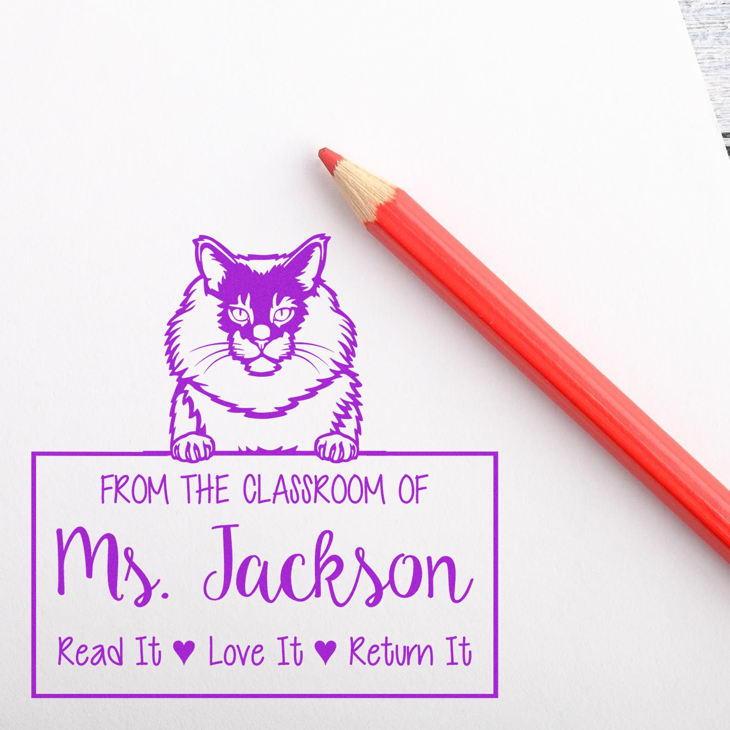 Maine Coon Cat-Themed Classroom Of Stamp - Engineer Seal Stamps