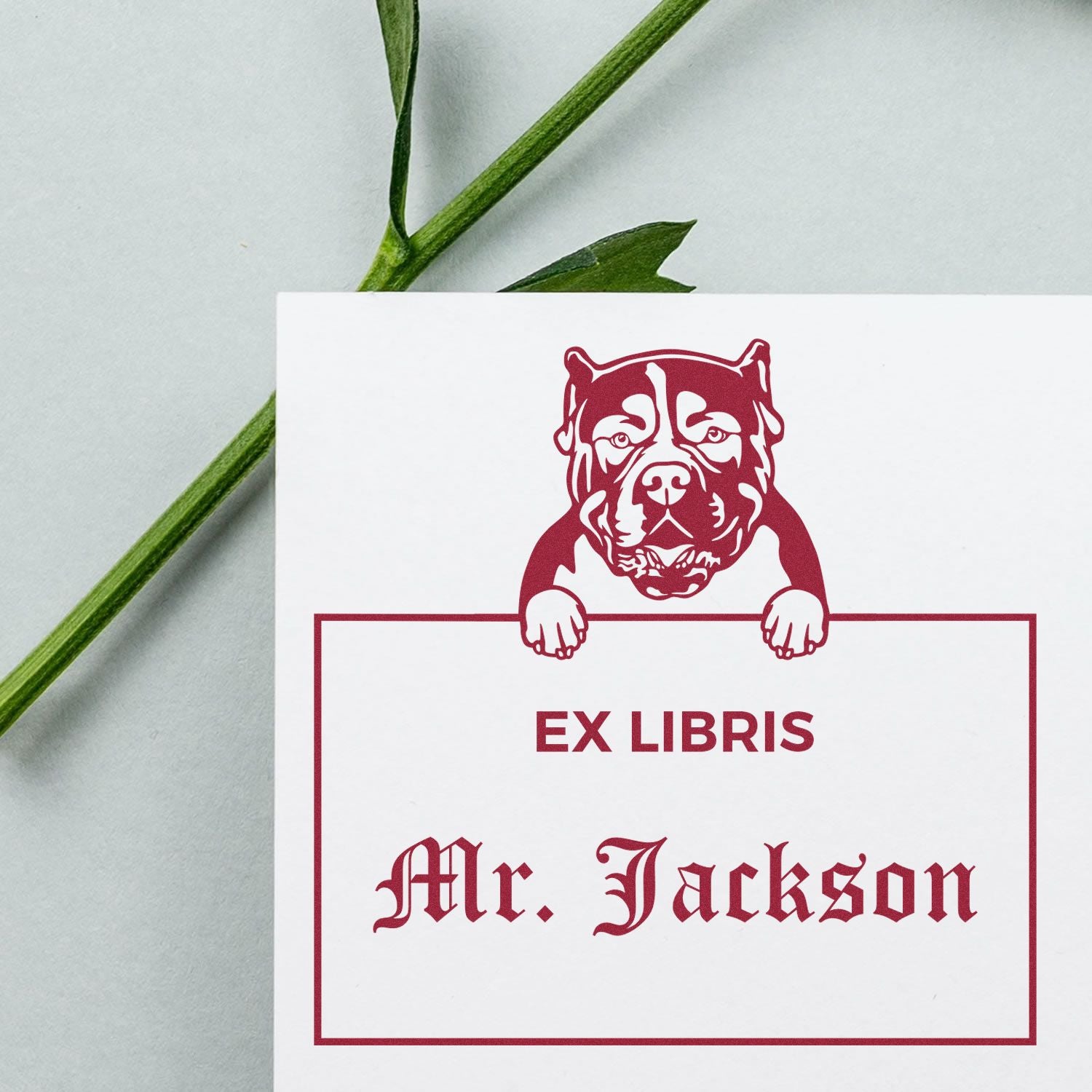 American Bulldog Custom-Made Ex Libris Classroom Stamper - Engineer Seal Stamps