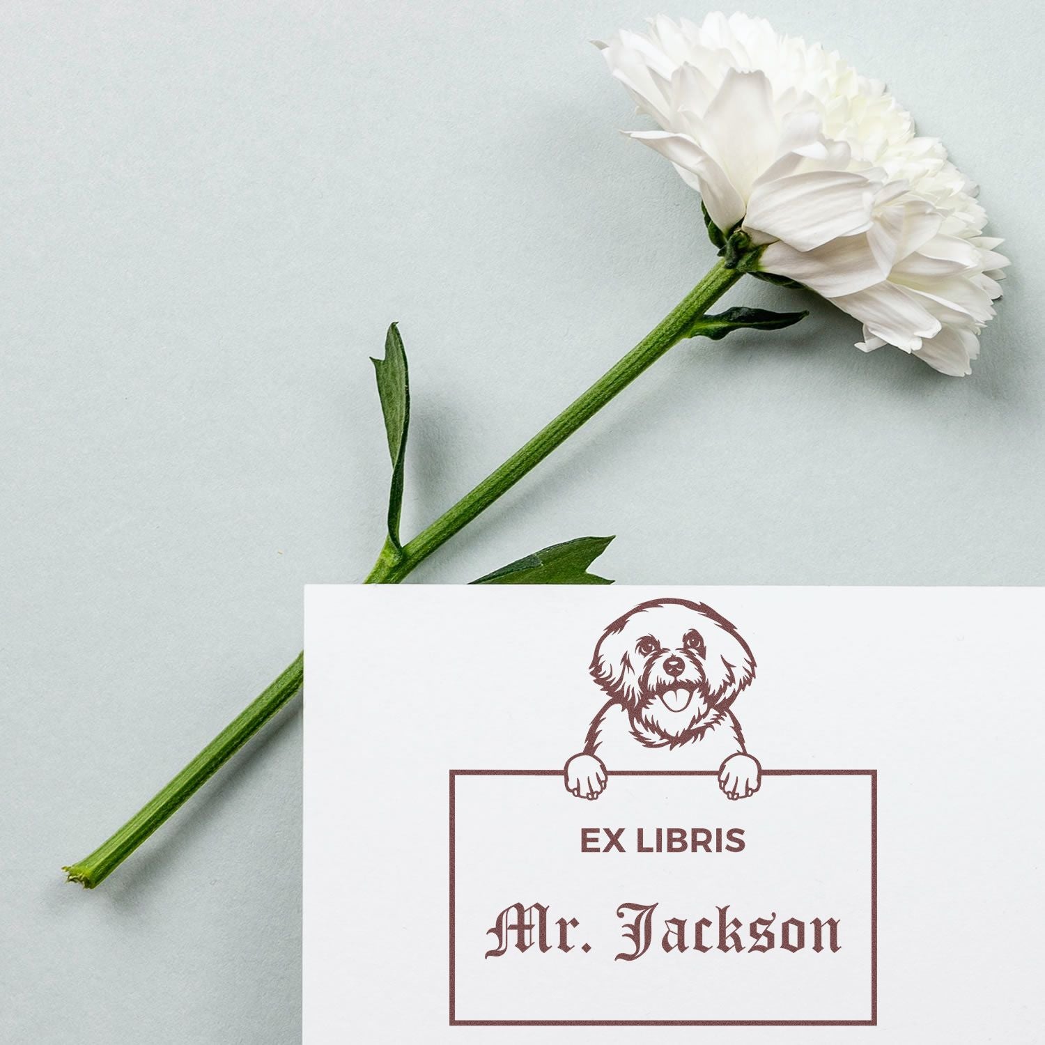 Made-to-Order Ex Libris Stamp with Bichon Frise - Engineer Seal Stamps