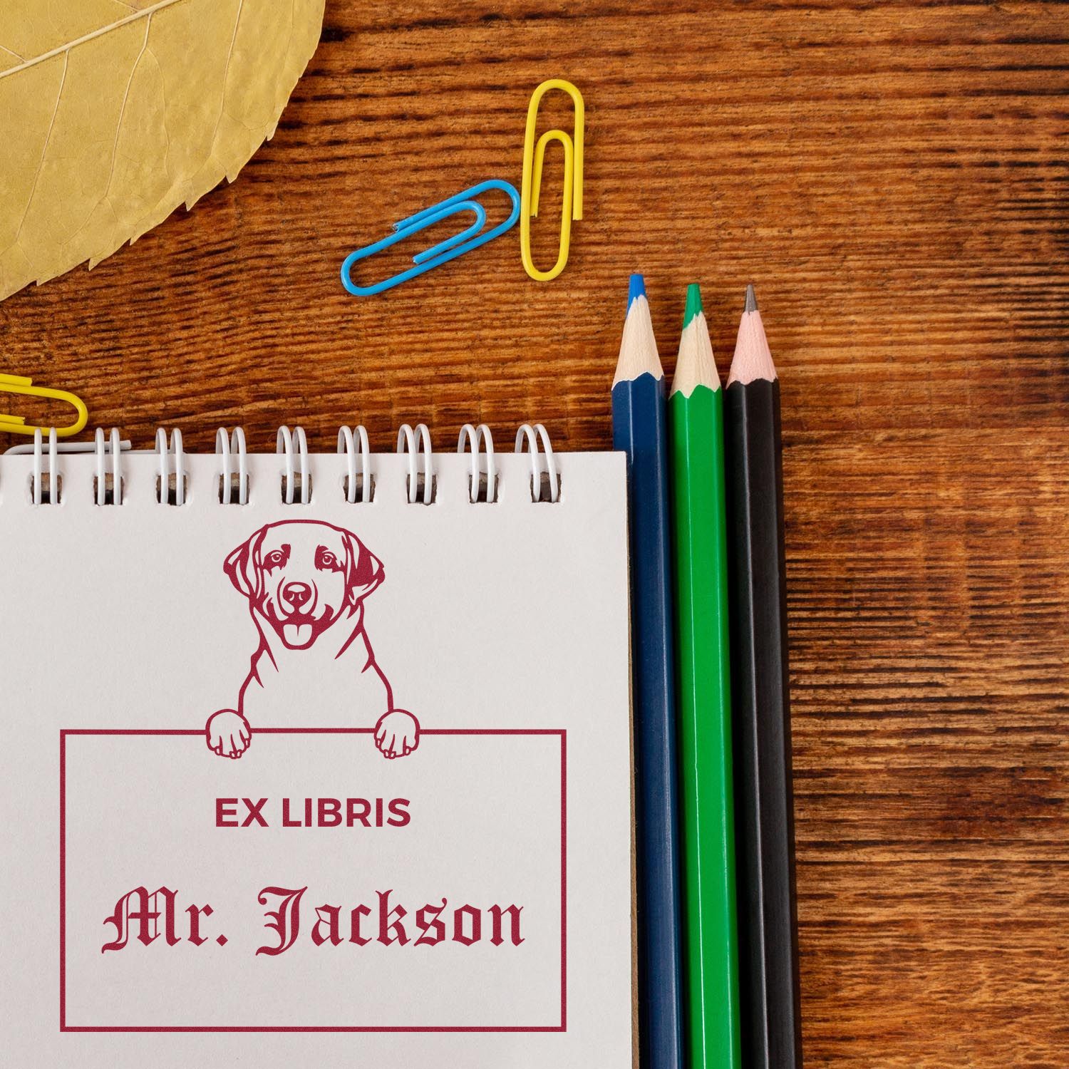 Labrador Retriever Personalized Puppy Ex Libris Stamp - Engineer Seal Stamps