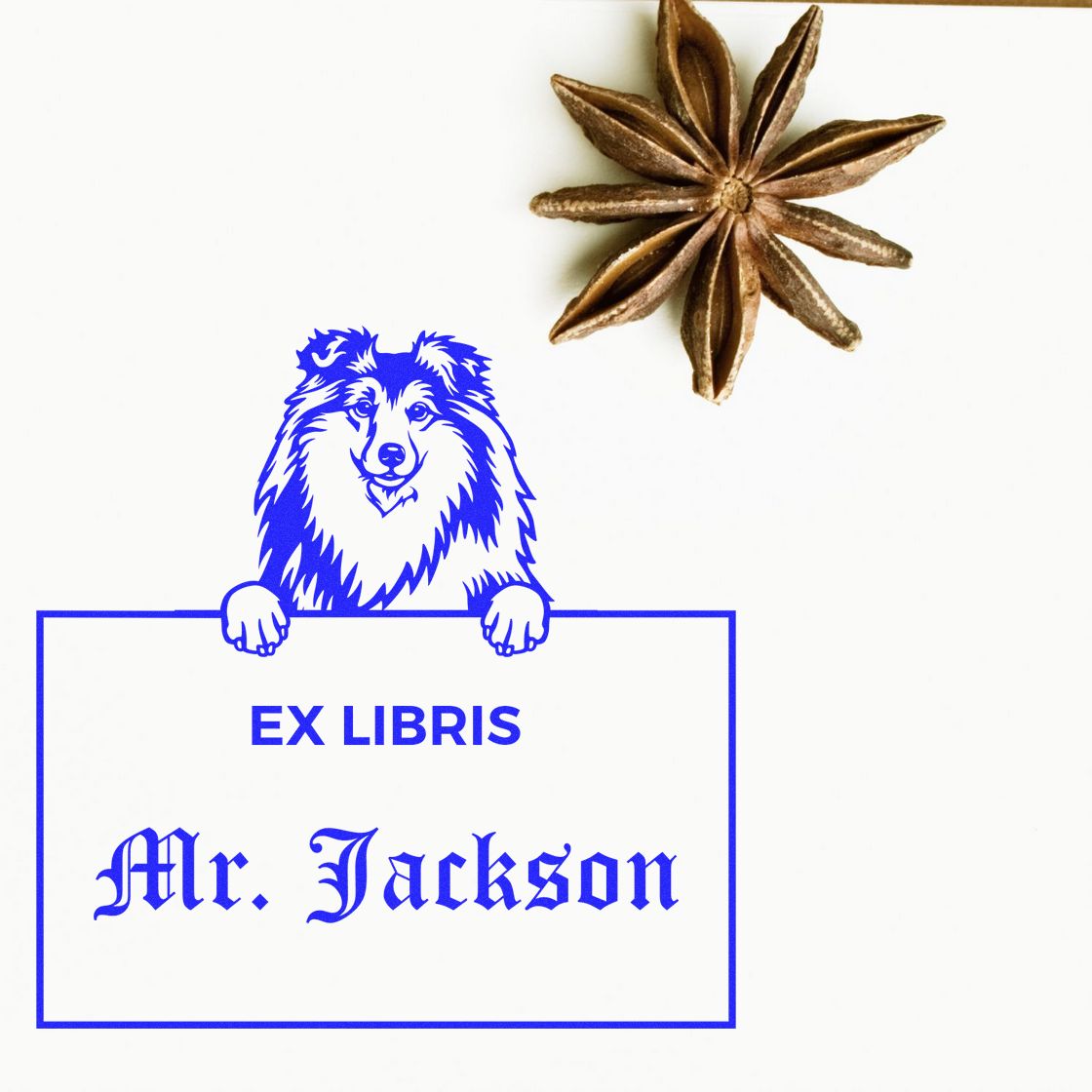 Customizable Ex Libris Reading Stamp with Shetland Sheepdog - Engineer Seal Stamps