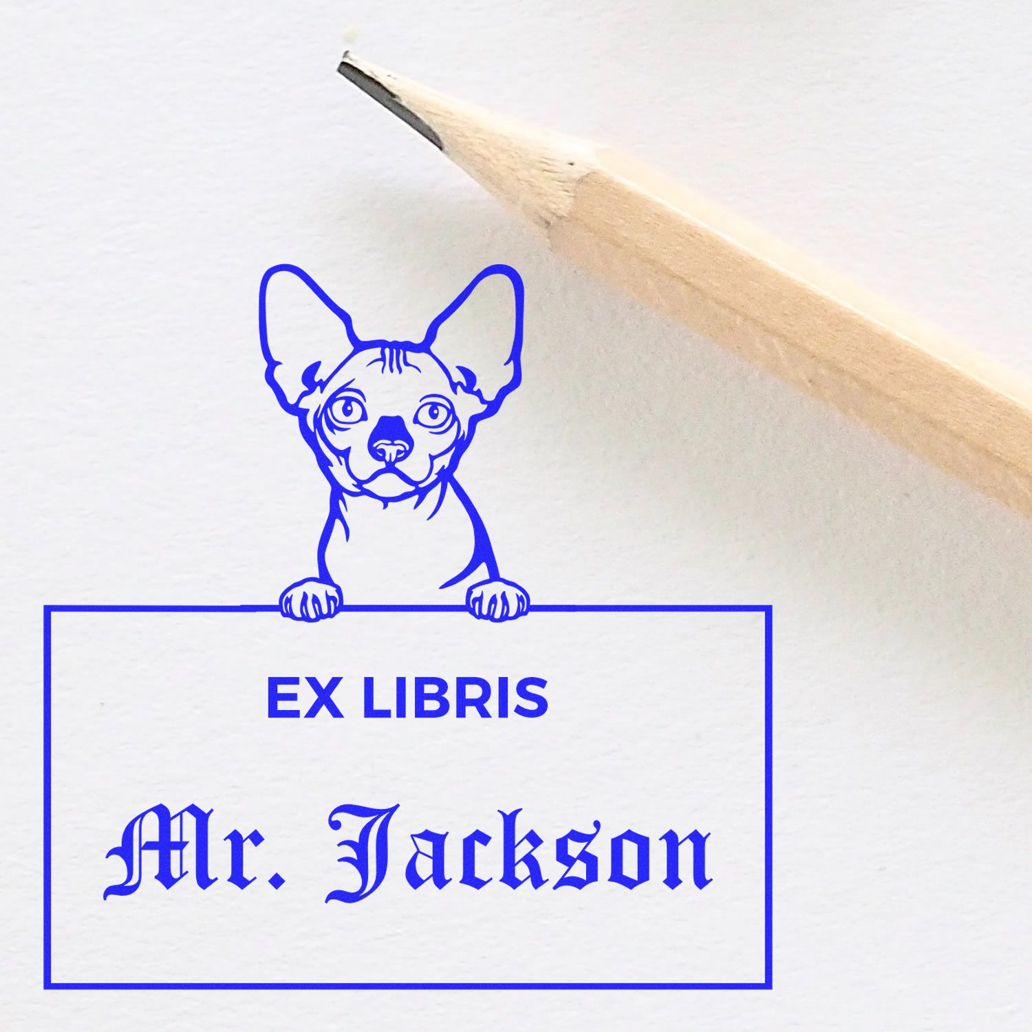 Self-Inking Bambino Custom-Made Cat-Themed Ex Libris Library Stamp - Engineer Seal Stamps