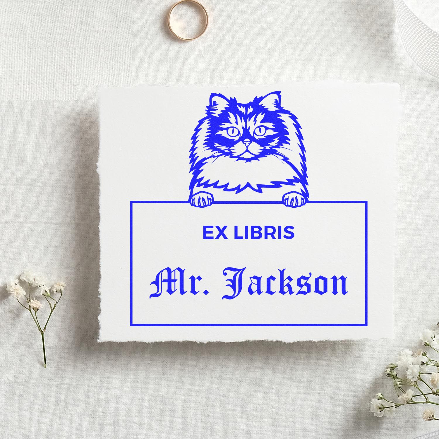 British Longhair Cat Custom Ex Libris Library Stamp - Engineer Seal Stamps