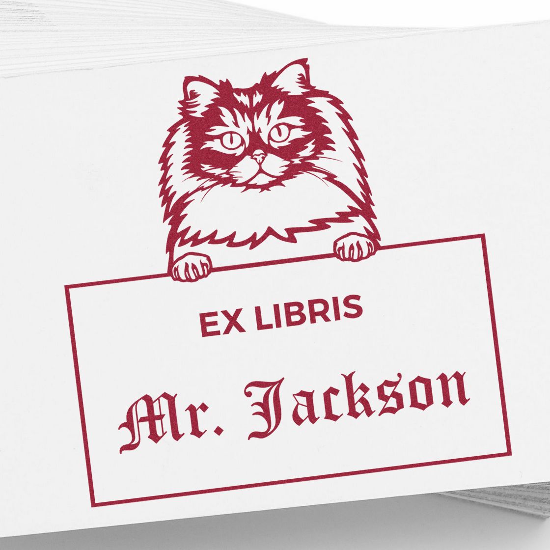 Personalizable Ex Libris Reading Stamp with British Longhair Cat - Engineer Seal Stamps