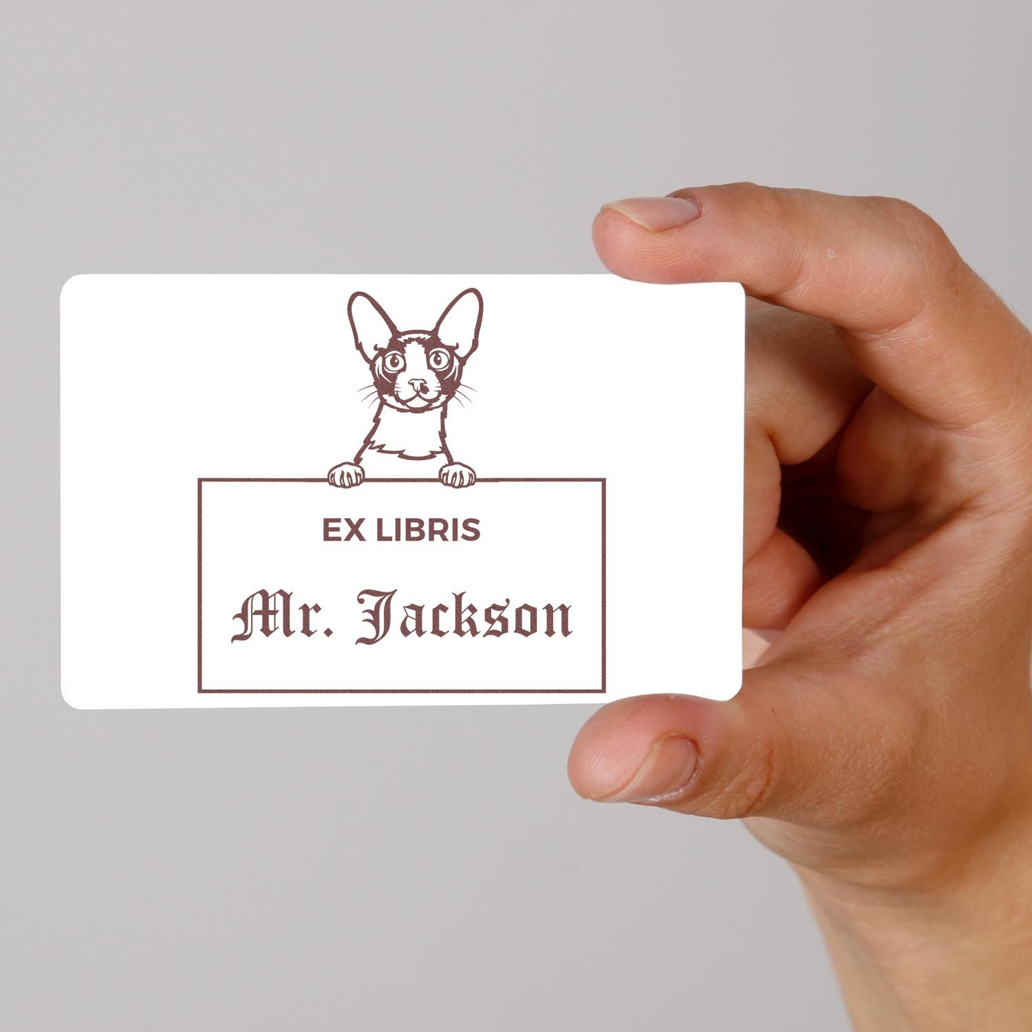 Customizable Ex Libris Stamp with Cornish Rex Cat - Engineer Seal Stamps