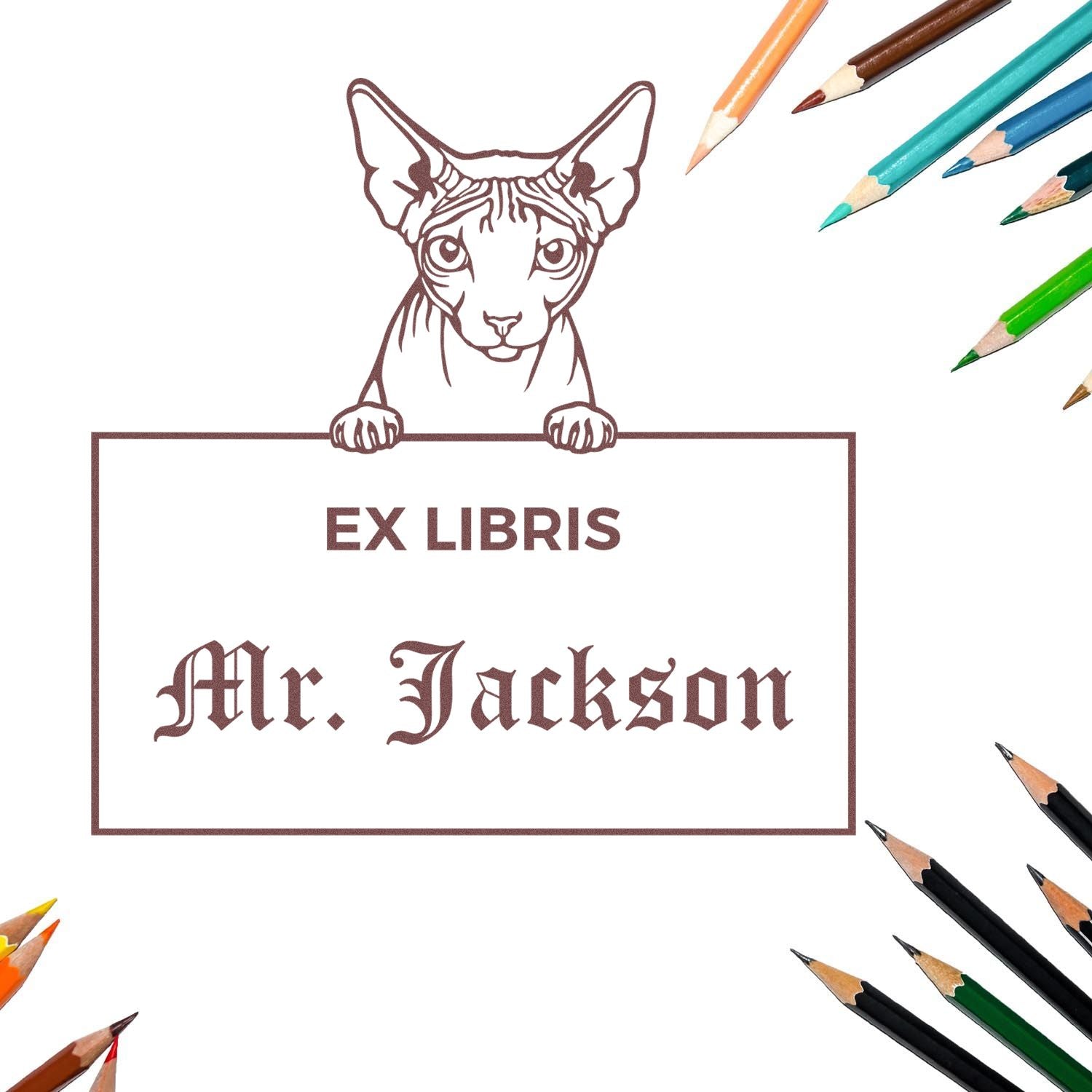Customizable Ex Libris Classroom Stamp with Don Sphynx Cat - Engineer Seal Stamps