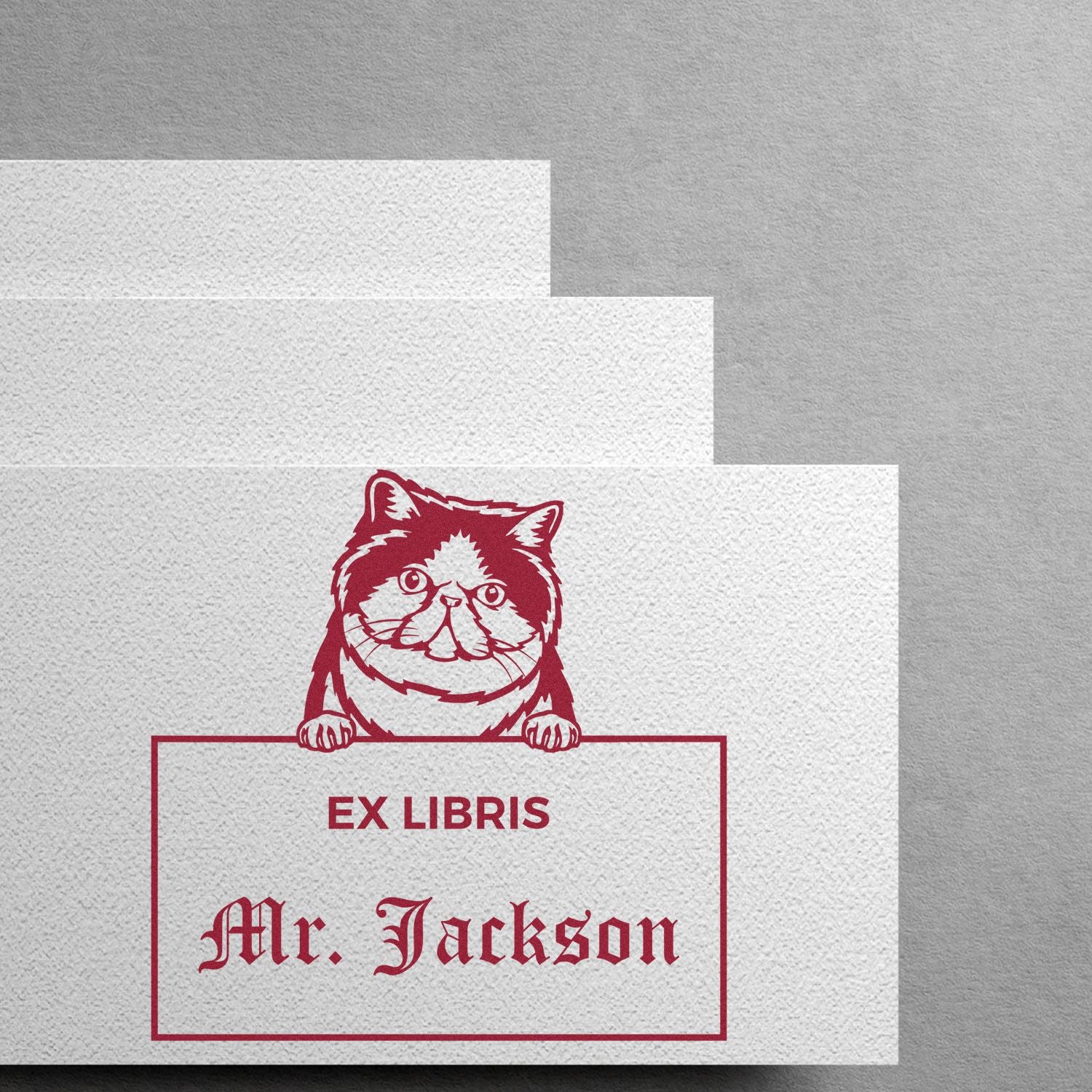 Exotic Shorthair Custom Cat-Themed Ex Libris Book Label Stamp - Engineer Seal Stamps