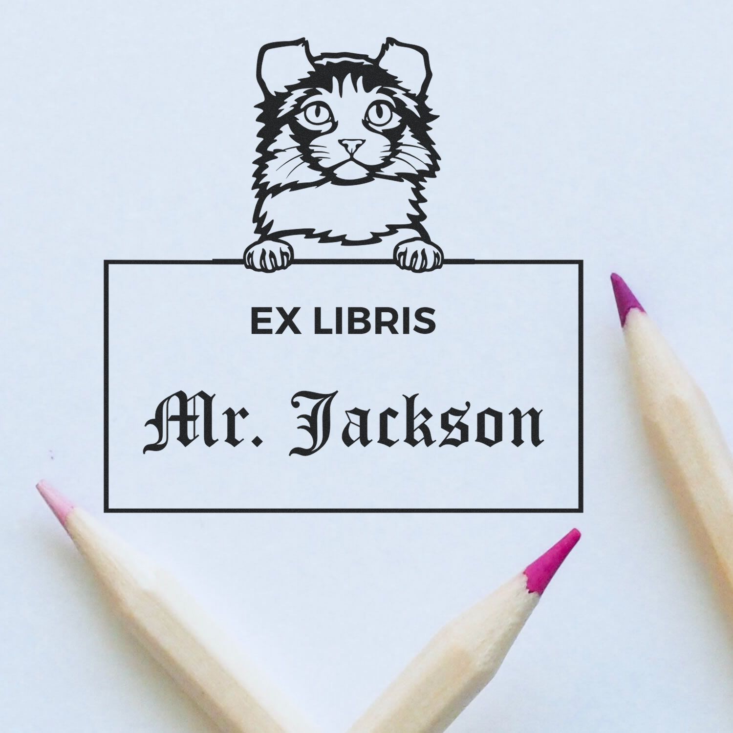 Customizable Ex Libris Reading Stamper with Kinkalow Cat - Engineer Seal Stamps