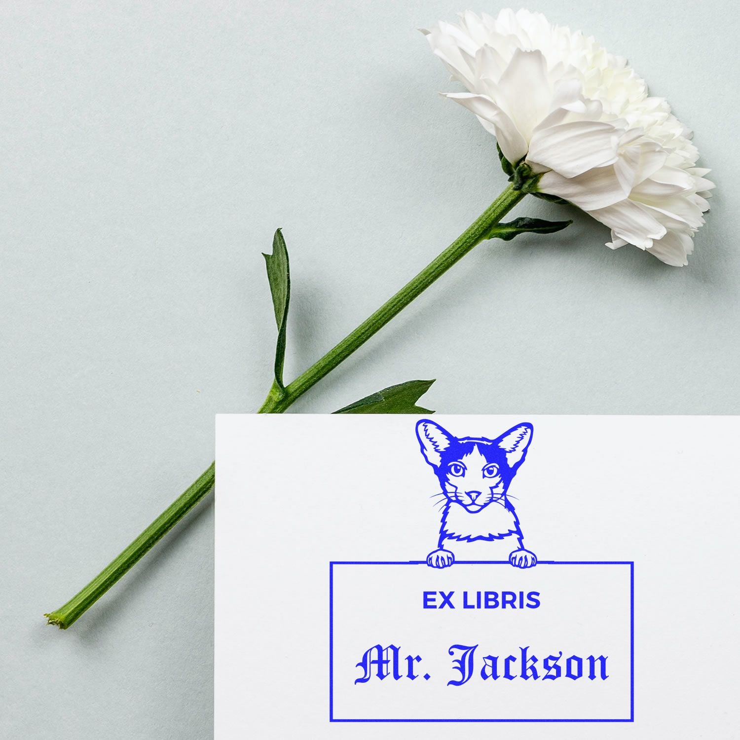 Custom-Made Ex Libris Book Stamper with Oriental Bicolor Cat - Engineer Seal Stamps
