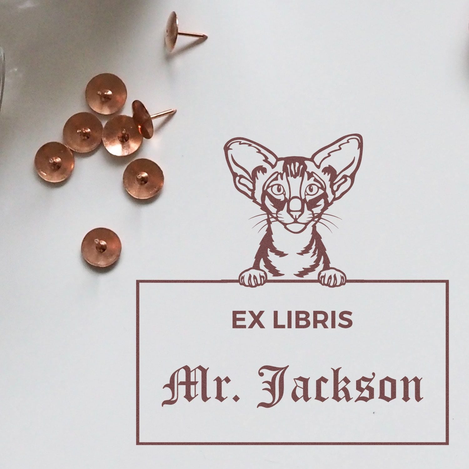 Custom-Made Ex Libris Teacher Stamper with Oriental Shorthair Cat - Engineer Seal Stamps