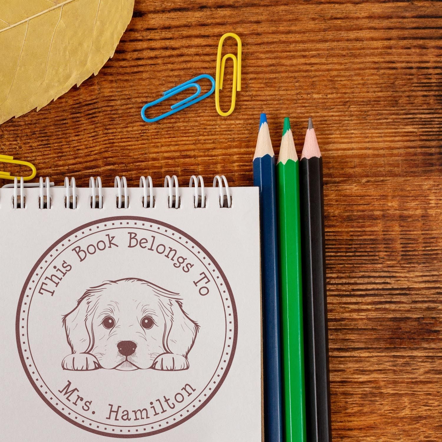 Wooden Handle Golden Retriever Custom Ex Libris Library Stamp - Engineer Seal Stamps