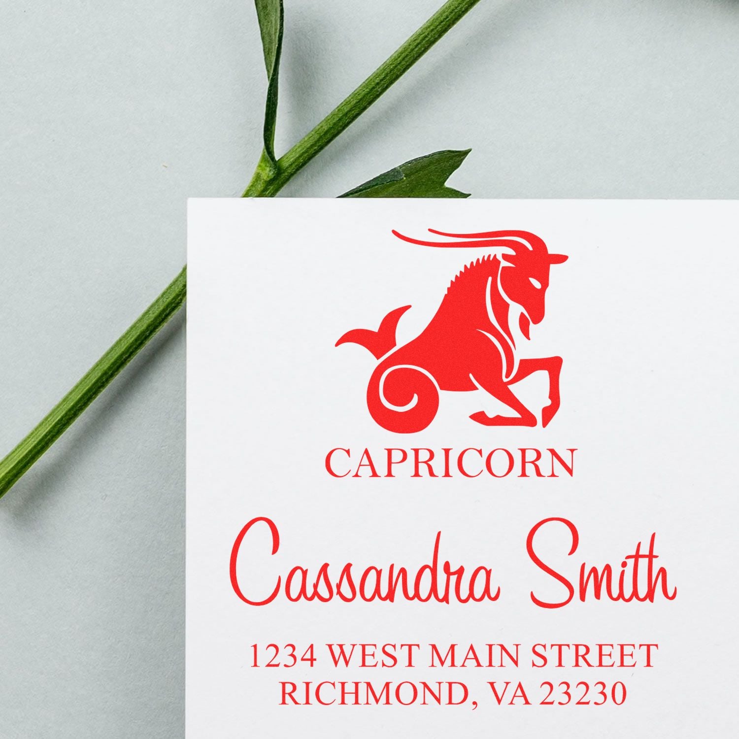 Ambitious Capricorn Zodiac Personalized Address Stamper - Engineer Seal Stamps