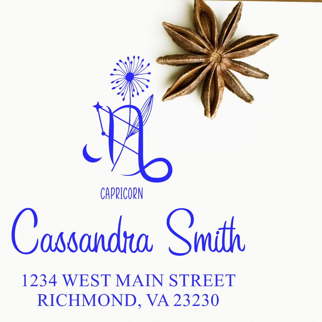 Celesital Cautious Capricorn Customized New Home Stamper - Engineer Seal Stamps