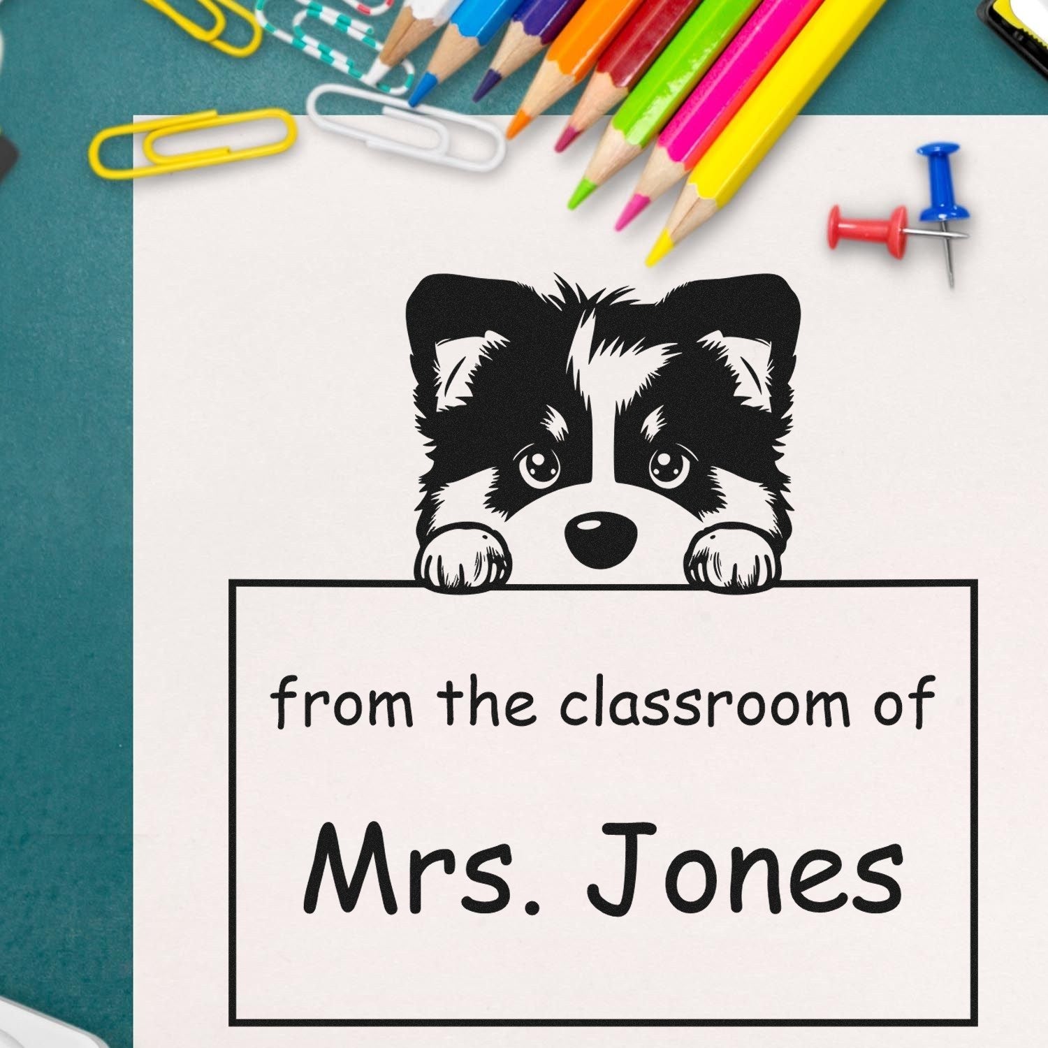 Black raccoon classroom stamp and seal with from the classroom of Mrs. Jones, on white, surrounded by colorful pencils and pins.