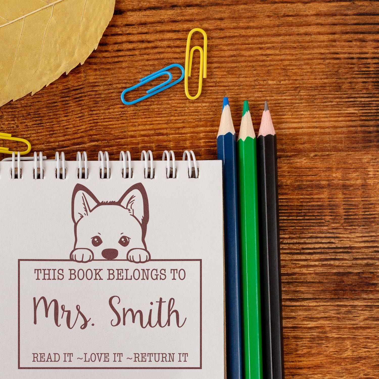 Custom book stamp on spiral notebook, brown dog design with Mrs. Smith, beside blue, green, and black pencils on a wood desk.