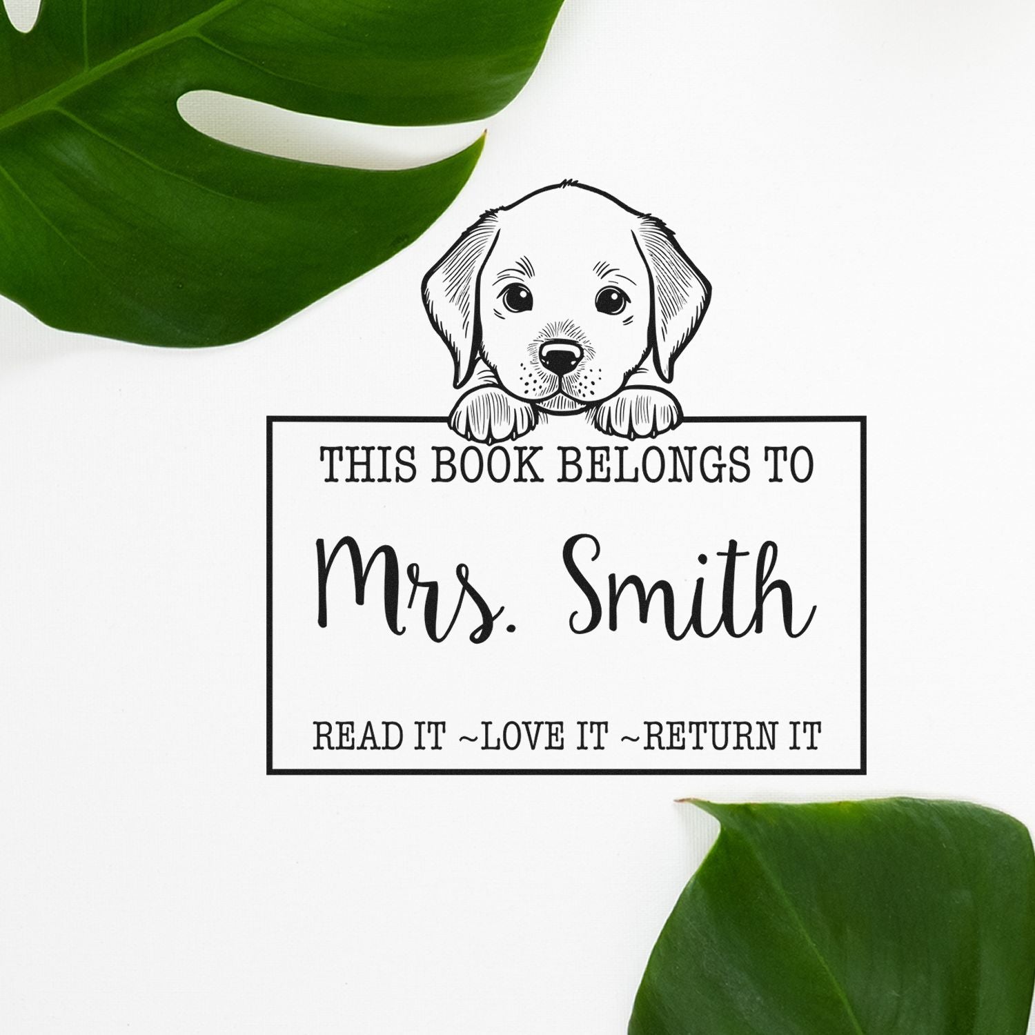 Pre-Inked Chesapeake Bay Retriever Custom Property Of Library Stamp - Engineer Seal Stamps