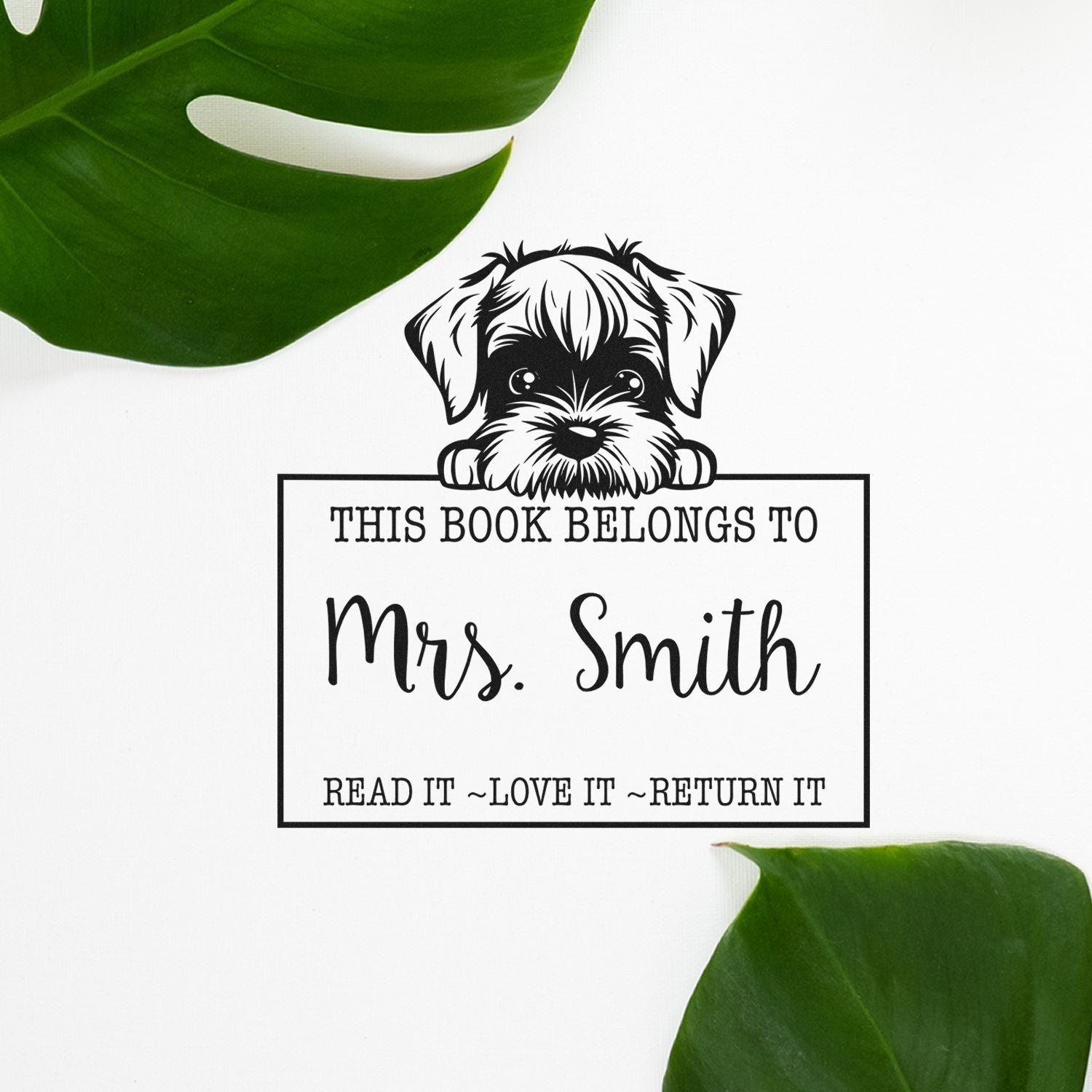 Cute Pre-Inked Standard Schnauzer Personalized Library Name Stamp - Engineer Seal Stamps