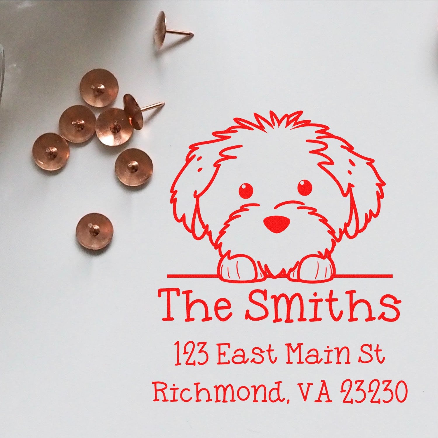 Self-Inking Cotton De Tulear Peeking Puppy Custom Name and Address Stamp - Engineer Seal Stamps