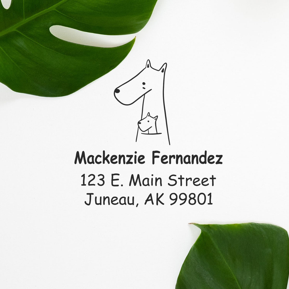 Snuggly Kangaroos Pre-Inked Customized Address Stamp featuring a kangaroo with a joey, personalized with "Mackenzie Fernandez, 123 E. Main Street, Juneau, AK 99801." Ideal as a Custom Return Mail Stamp, surrounded by green leaves on a white background.