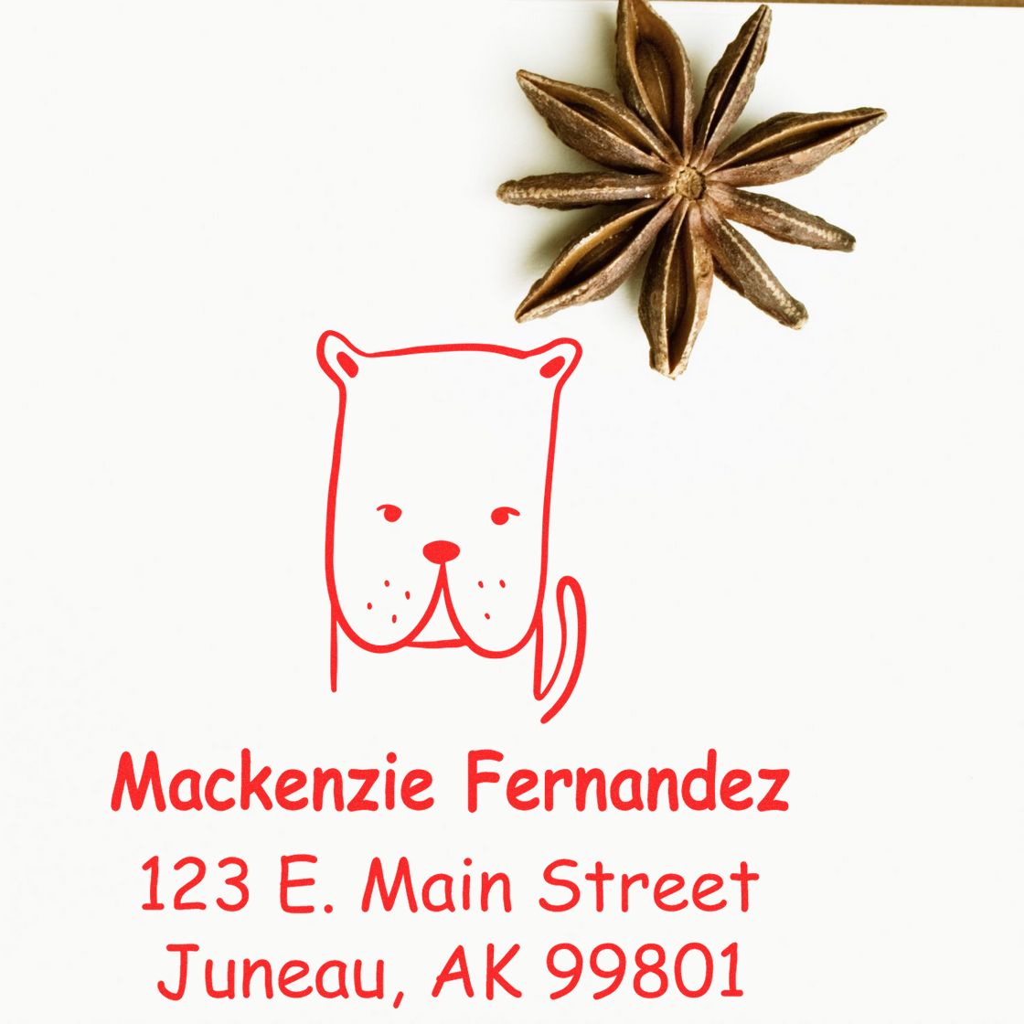 Wood handle darling dog cartoon animal custom address stamp on white paper. Personalizable address stamp with red ink features a cute dog illustration and address: Mackenzie Fernandez, 123 E. Main Street, Juneau, AK 99801. Star anise decorates the corner.