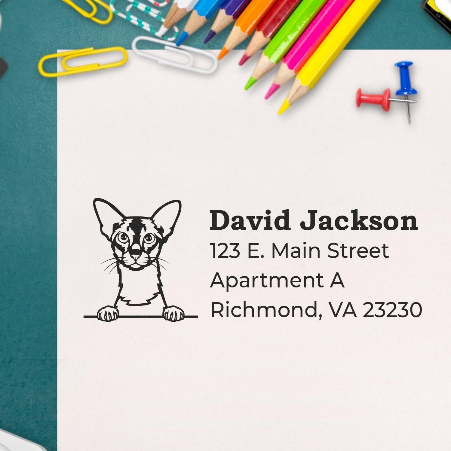 PSI Pre-Inked Peeking Colorpoint Shorthair Cat Personalized Address Stamp on paper with colorful pencils, paperclips, and pushpins in the background.