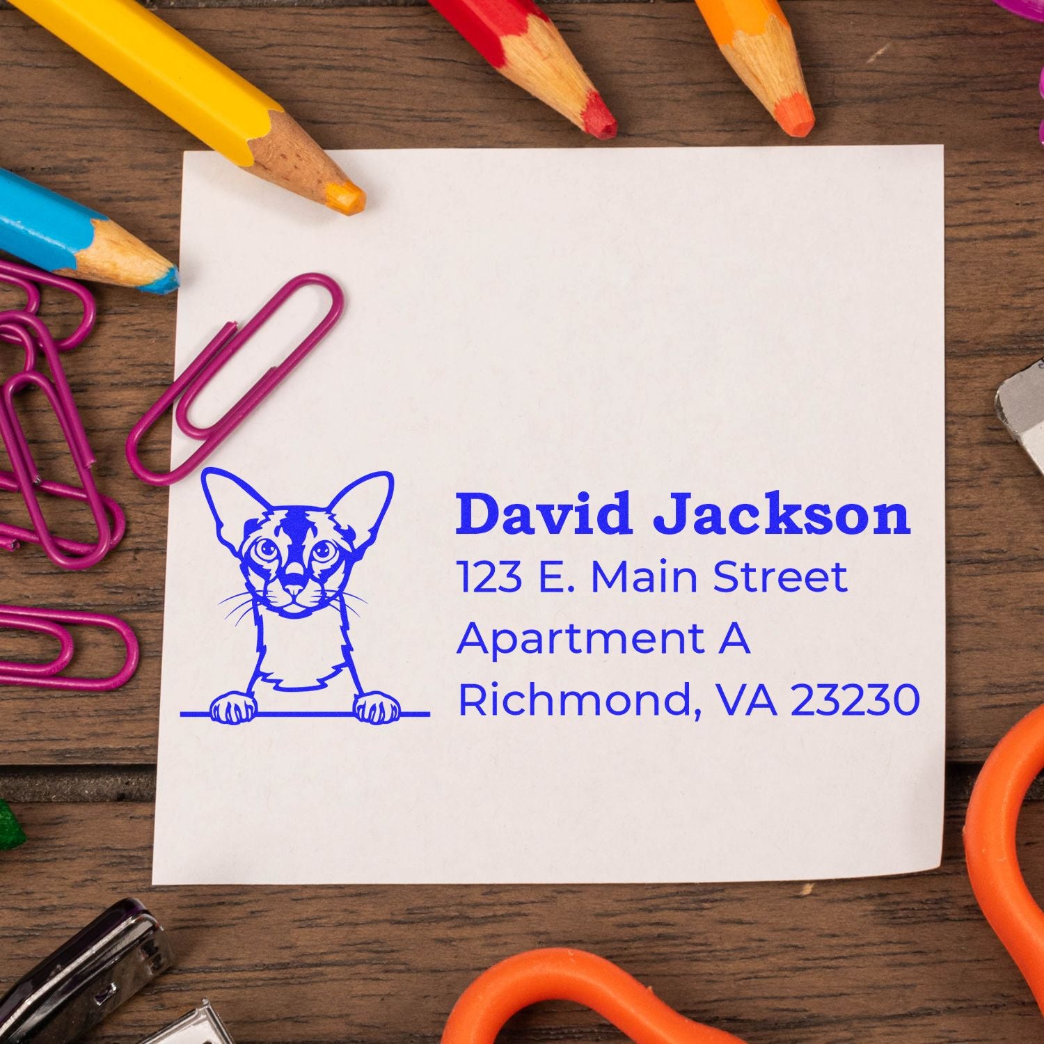 A PSI Pre-Inked Peeking Colorpoint Shorthair Cat Personalized Address Stamp on paper, surrounded by colorful pencils and paperclips, displaying a cat illustration and address in blue ink.