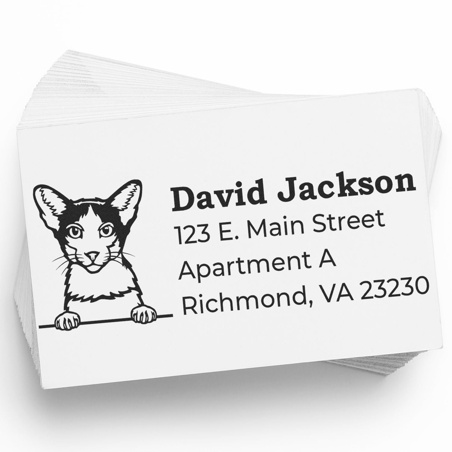 Stack of cards featuring the PSI Pre-Inked Peeking Oriental Bicolor Cat Personalized Address Stamp, showing a cat illustration above the name and address in bold, clear text.
