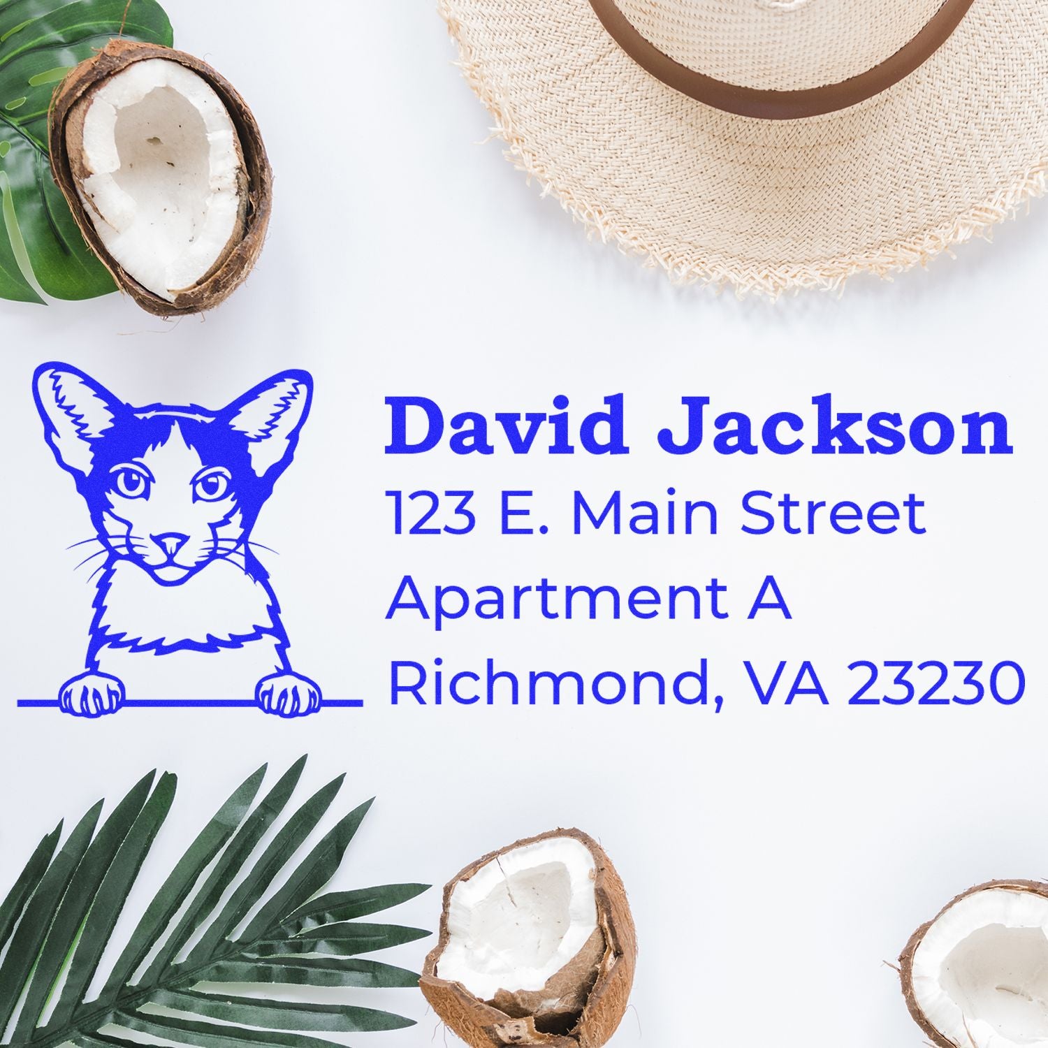 PSI Pre-Inked Peeking Oriental Bicolor Cat Personalized Address Stamp on a white background with tropical leaves, coconut halves, and a straw hat. Blue cat design with address details.