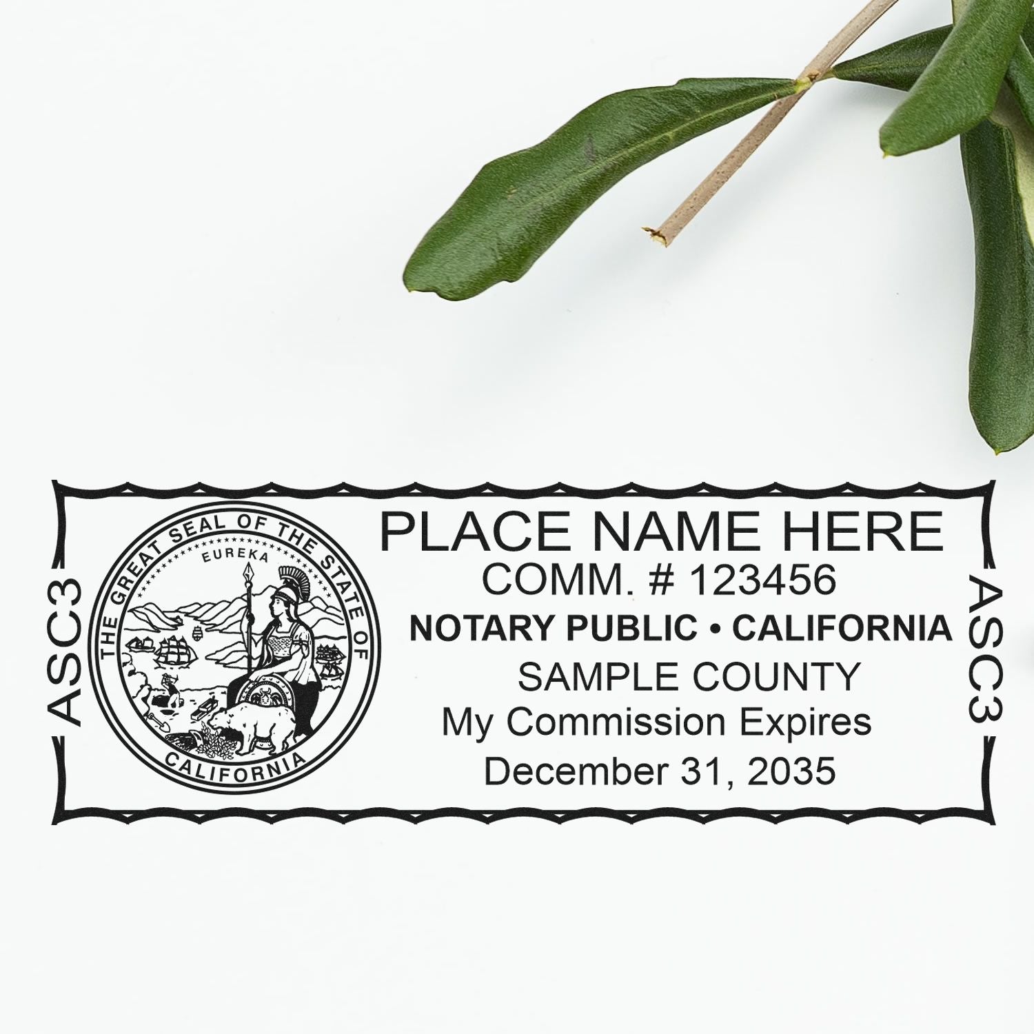 Rectangular MaxLight Notary Stamp CA and California Notary Public Desk Seal Embosser Kit - Engineer Seal Stamps