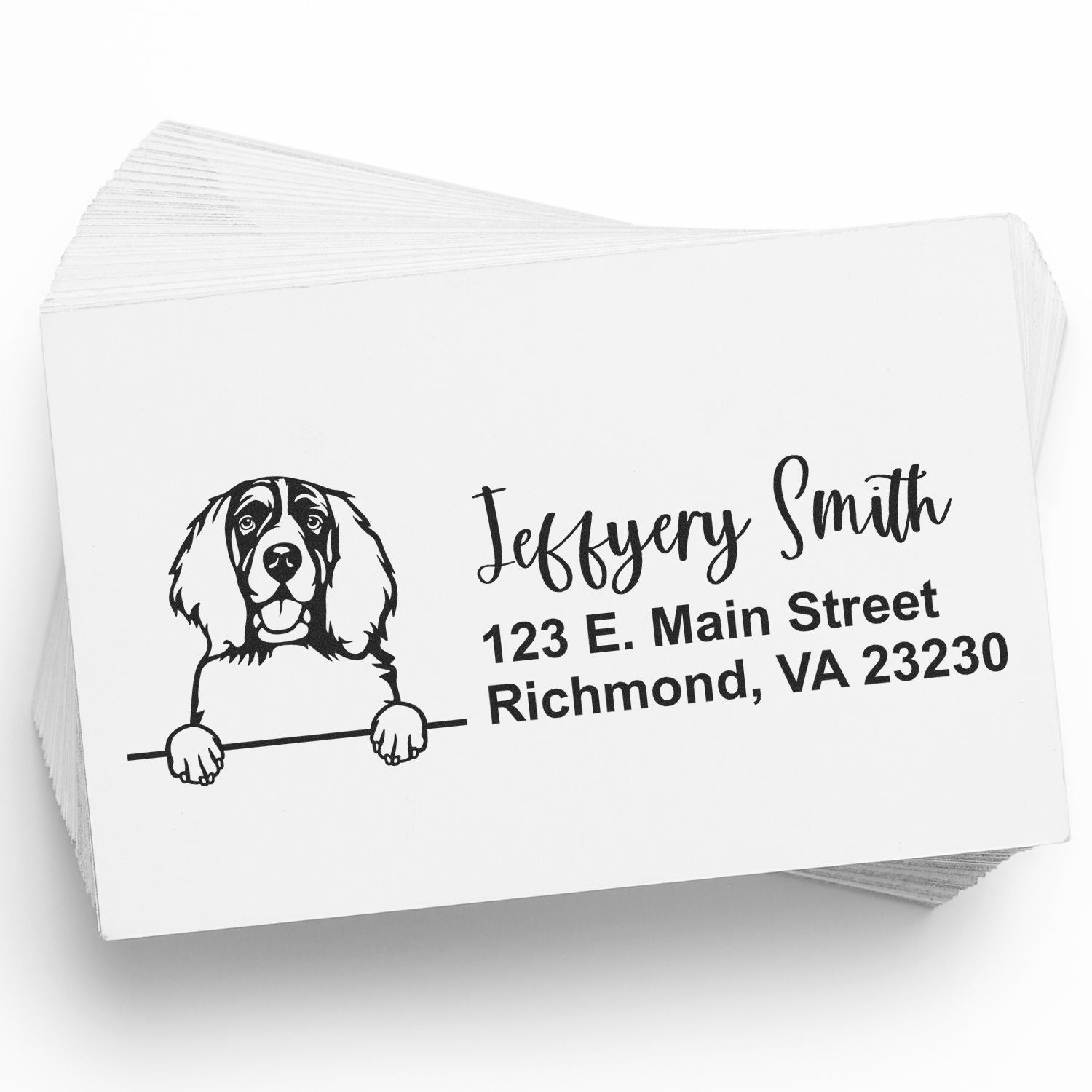 Peeking English Springer Spaniel Name and Address Rubber Stamp - Engineer Seal Stamps