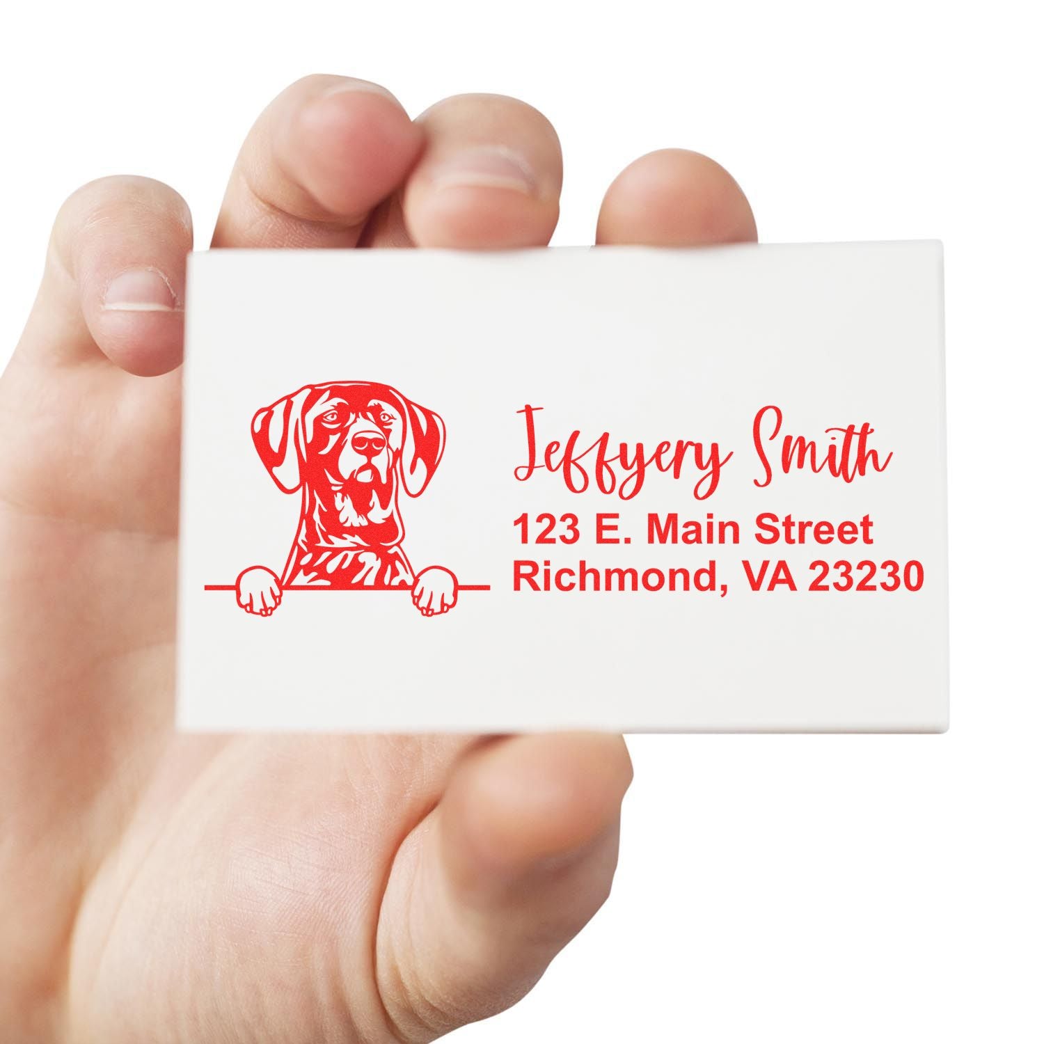 Peeking German Shorthaired Pointer Name and Address Rubber Stamp - Engineer Seal Stamps