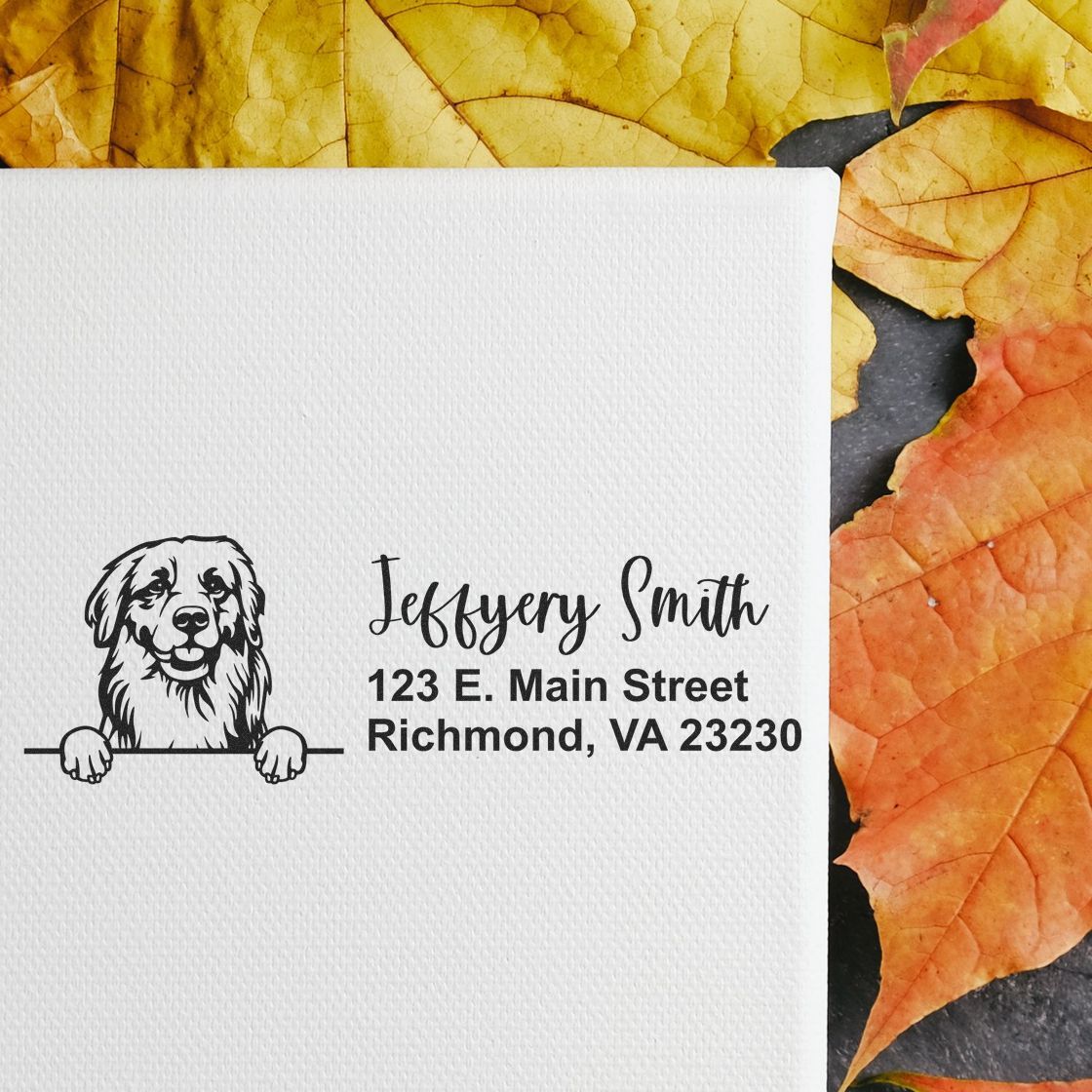 Peeking Golden Retriever Name and Address Rubber Stamp - Engineer Seal Stamps