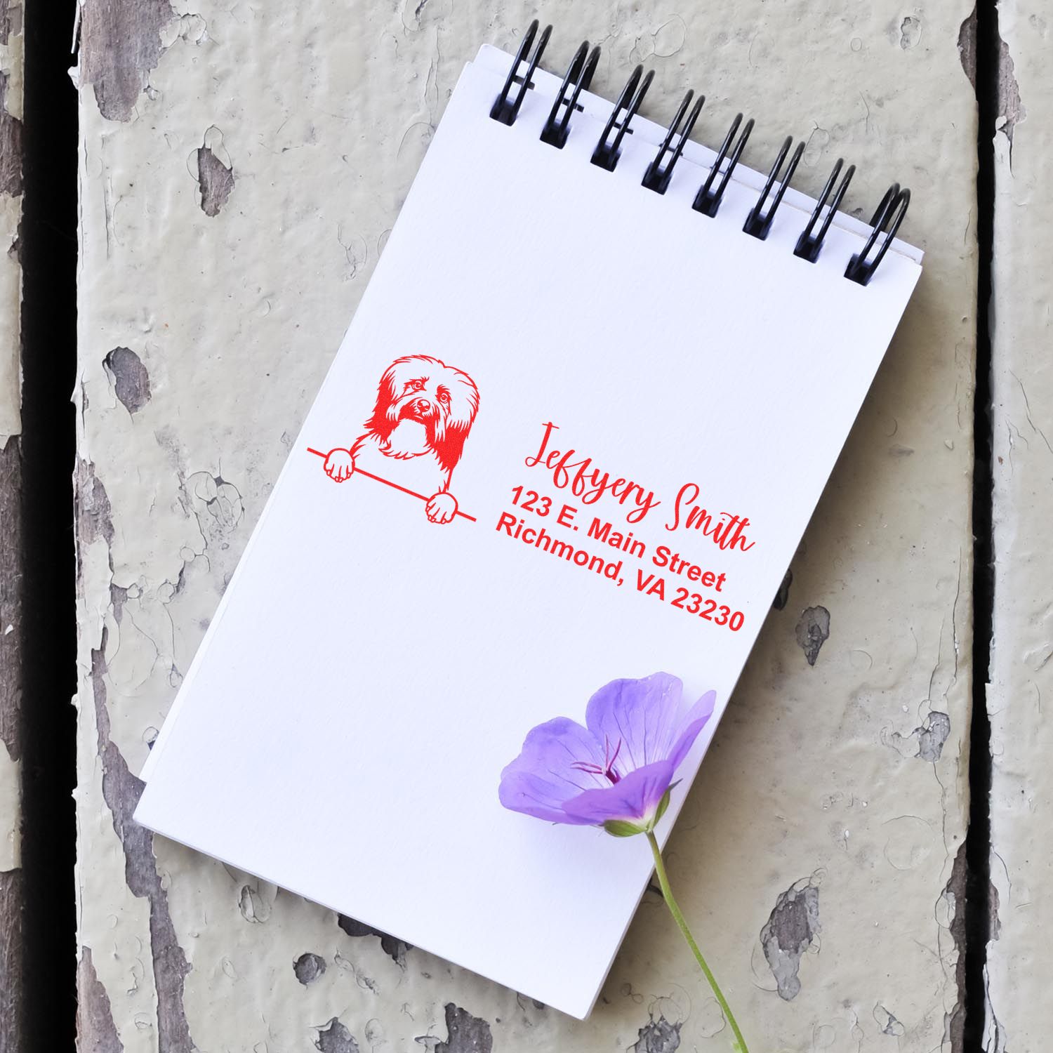 Peeking Havanese Name and Address Rubber Stamp - Engineer Seal Stamps