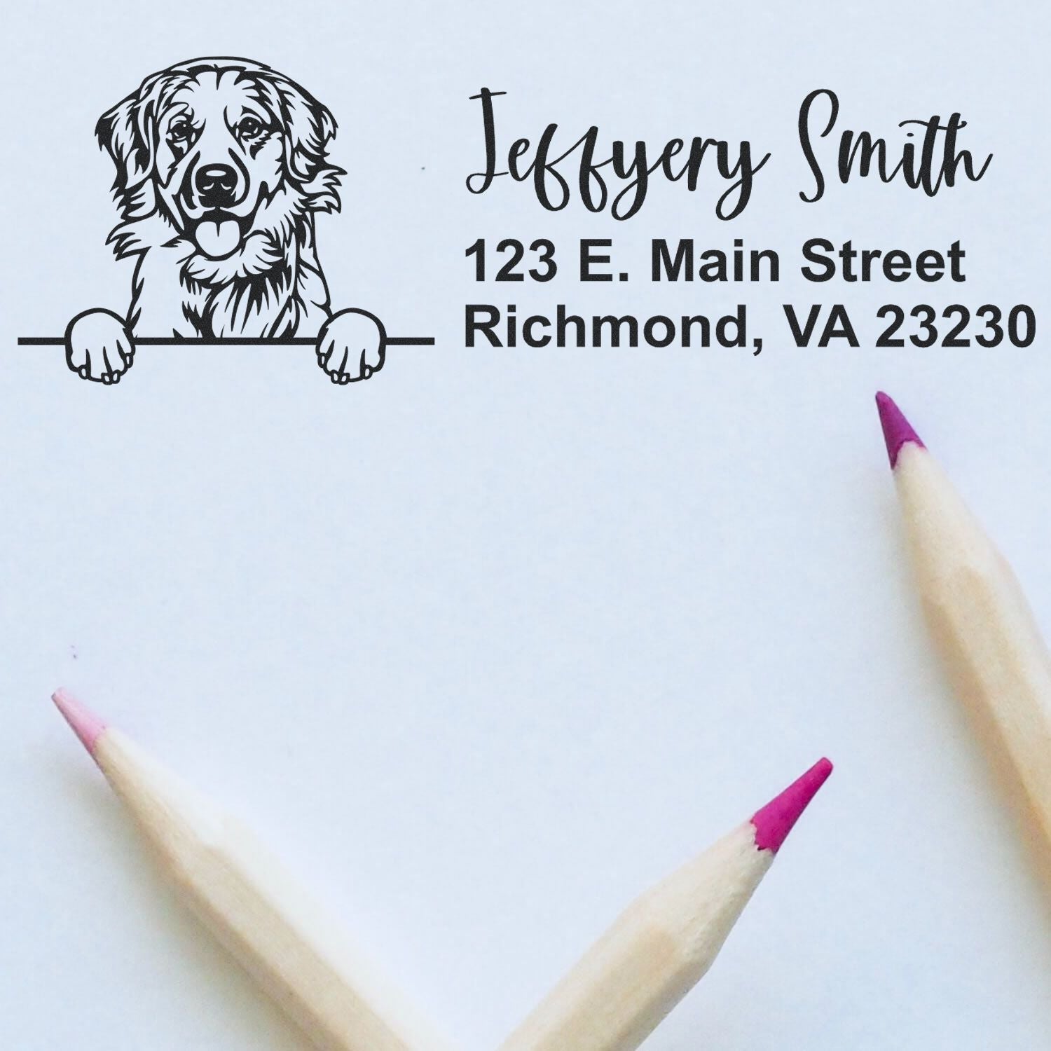 Peeking Labrador Retriever Name and Address Rubber Stamp - Engineer Seal Stamps