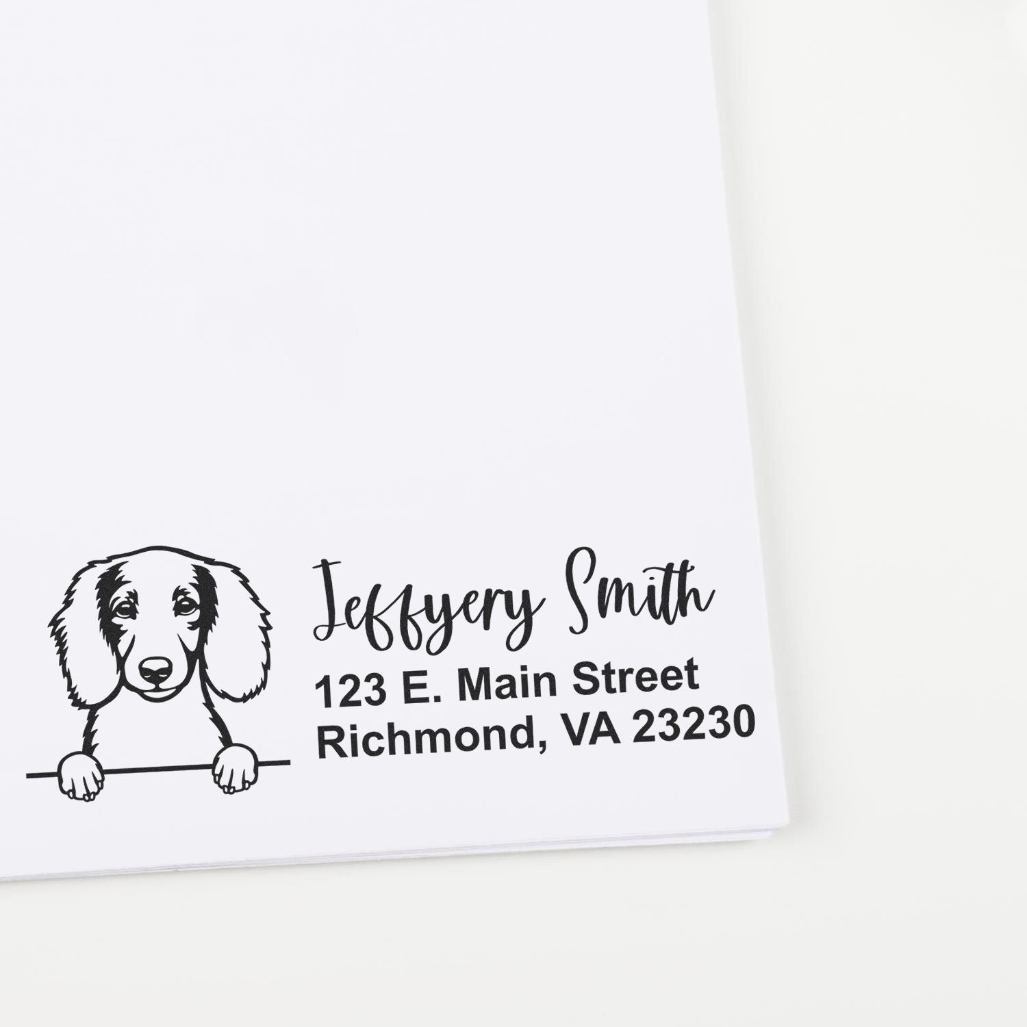 Peeking Longhaired Dachshund Name and Address Rubber Stamp - Engineer Seal Stamps
