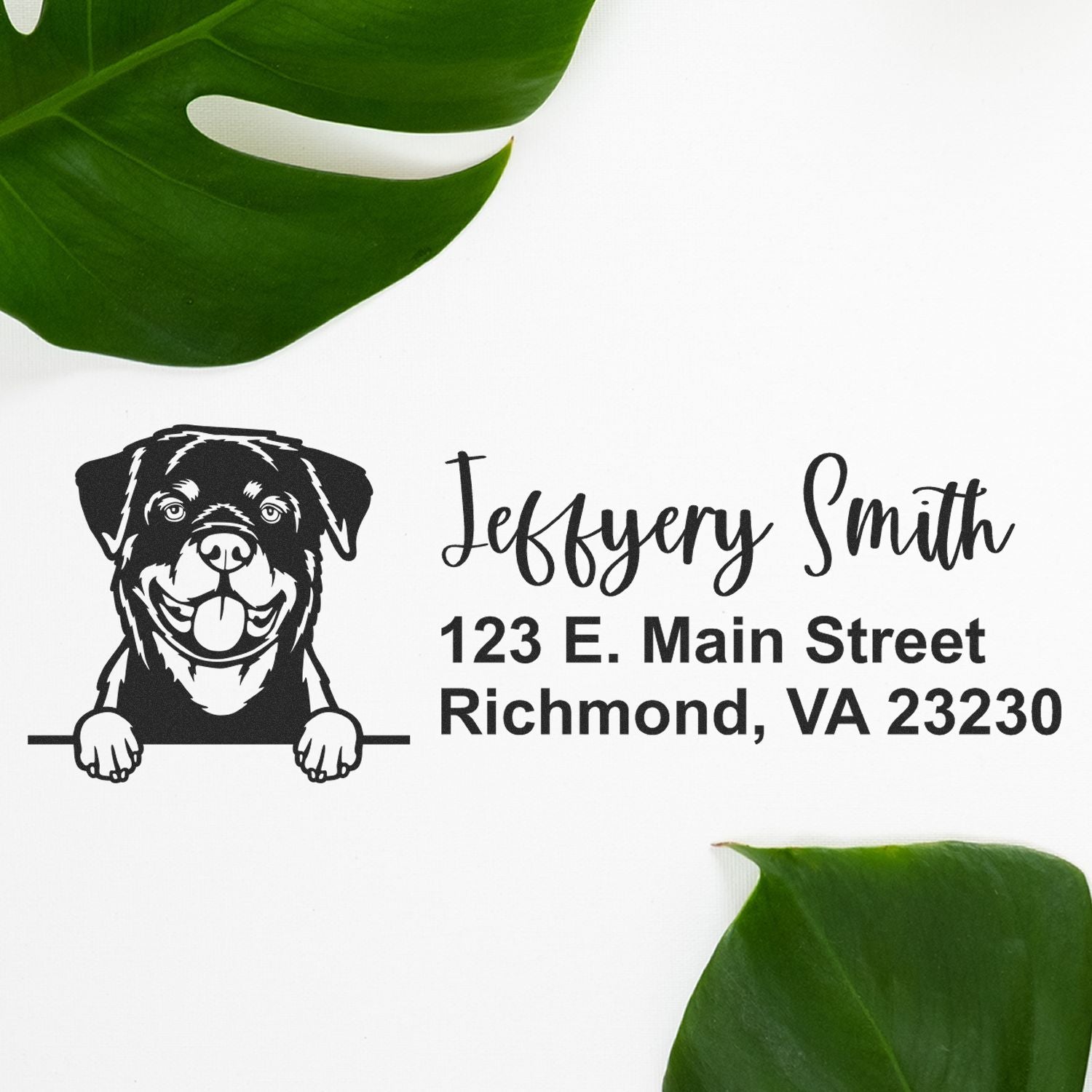 Peeking Rottweiler Name and Address Rubber Stamp - Engineer Seal Stamps