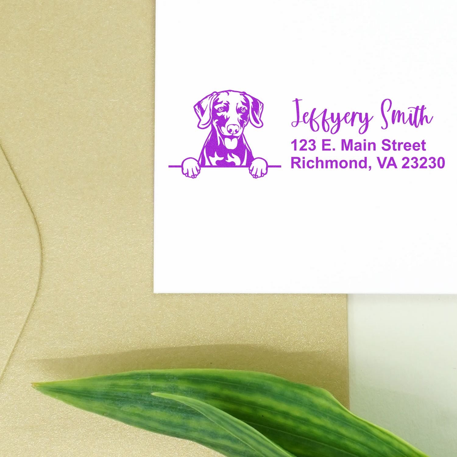 Peeking Weimaraner Name and Address Rubber Stamp - Engineer Seal Stamps