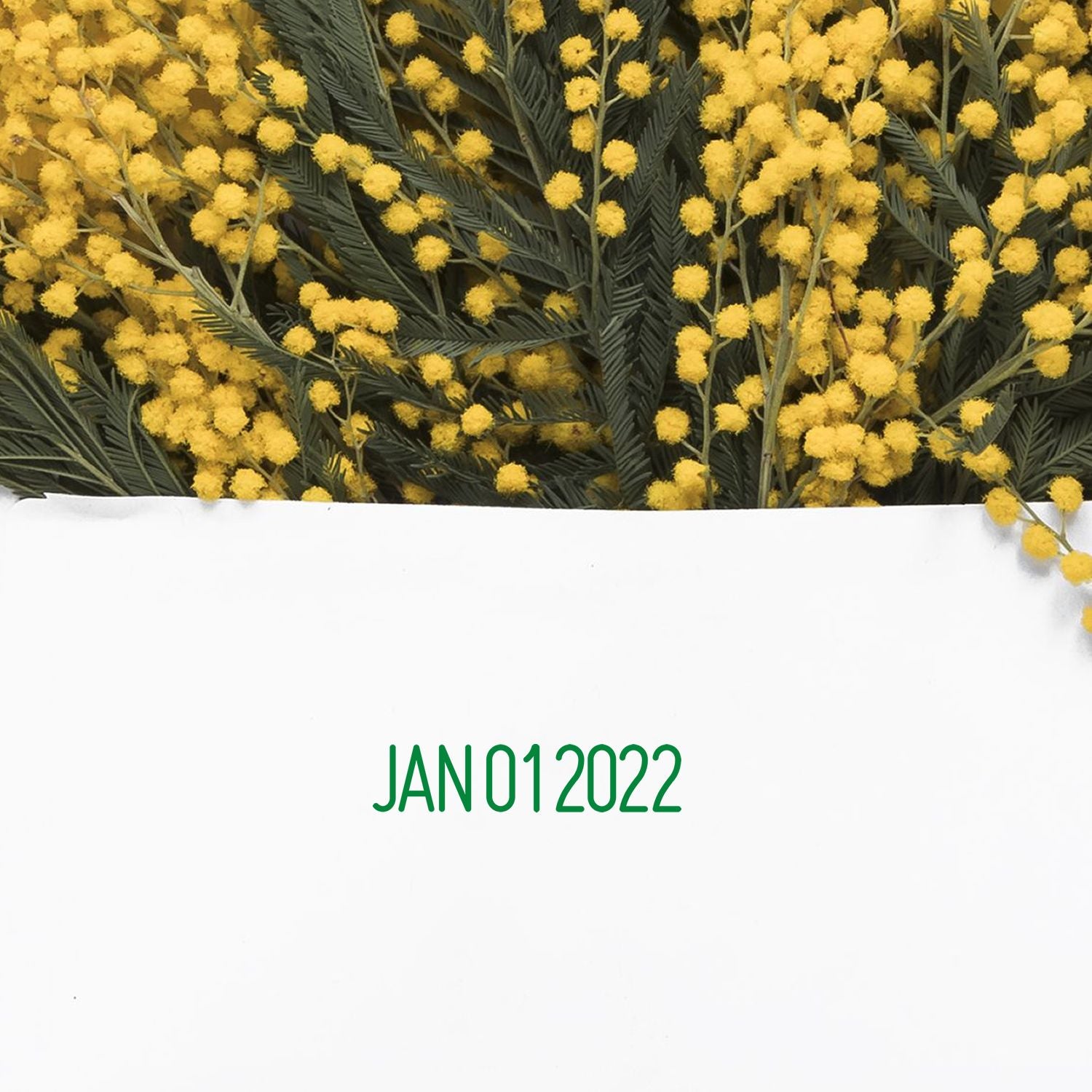 Date Stamp Size 9/32 Characters - Engineer Seal Stamps