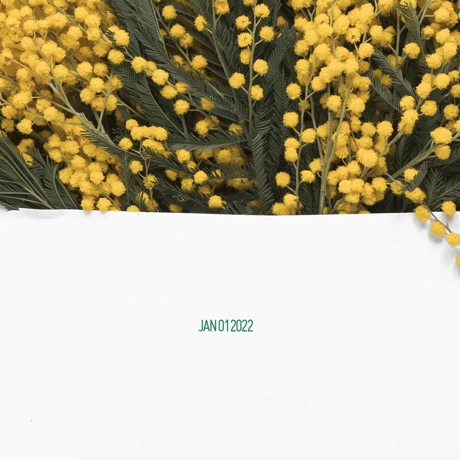 Date Stamp Size 3/16 Characters - Engineer Seal Stamps