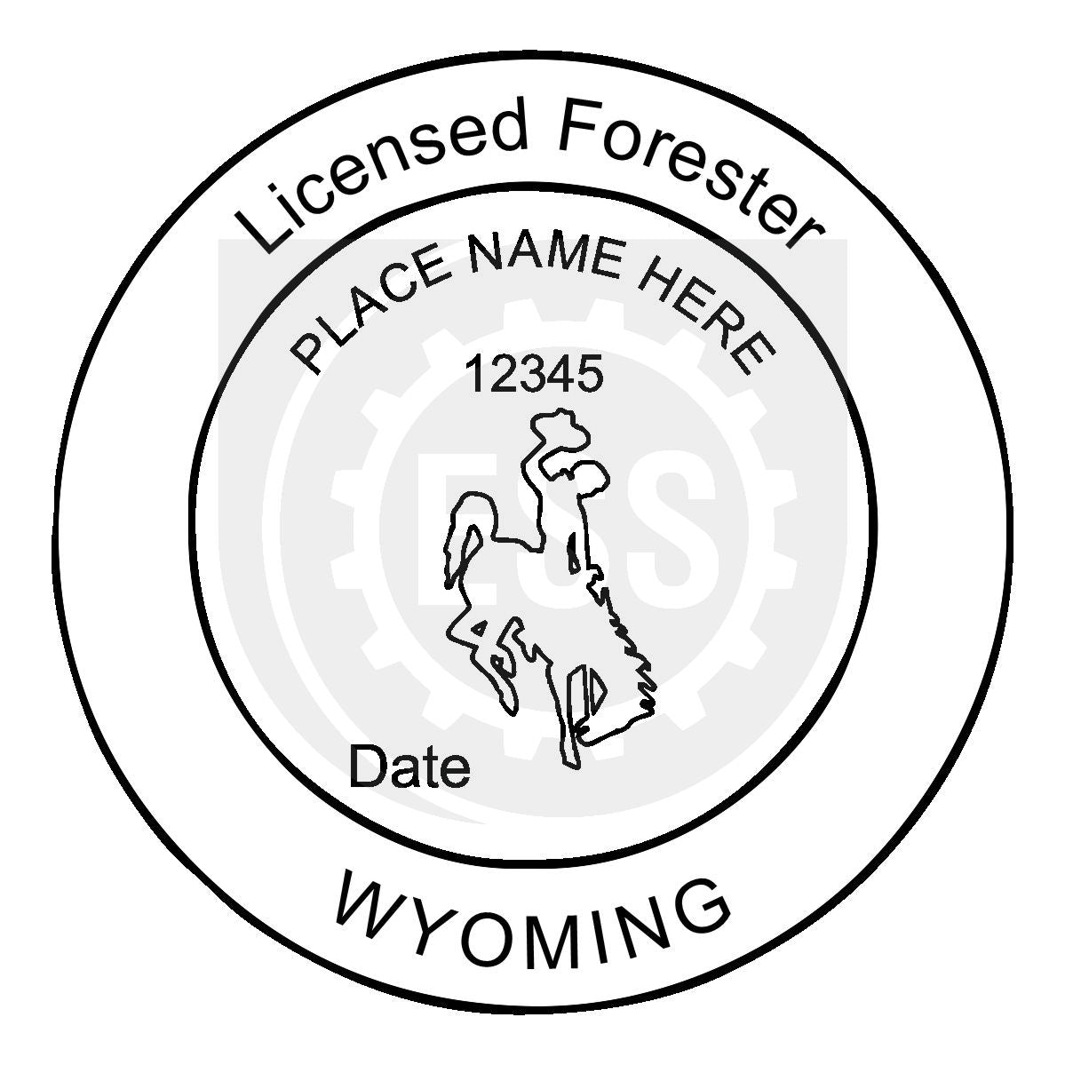 Wyoming Forester Seal Setup