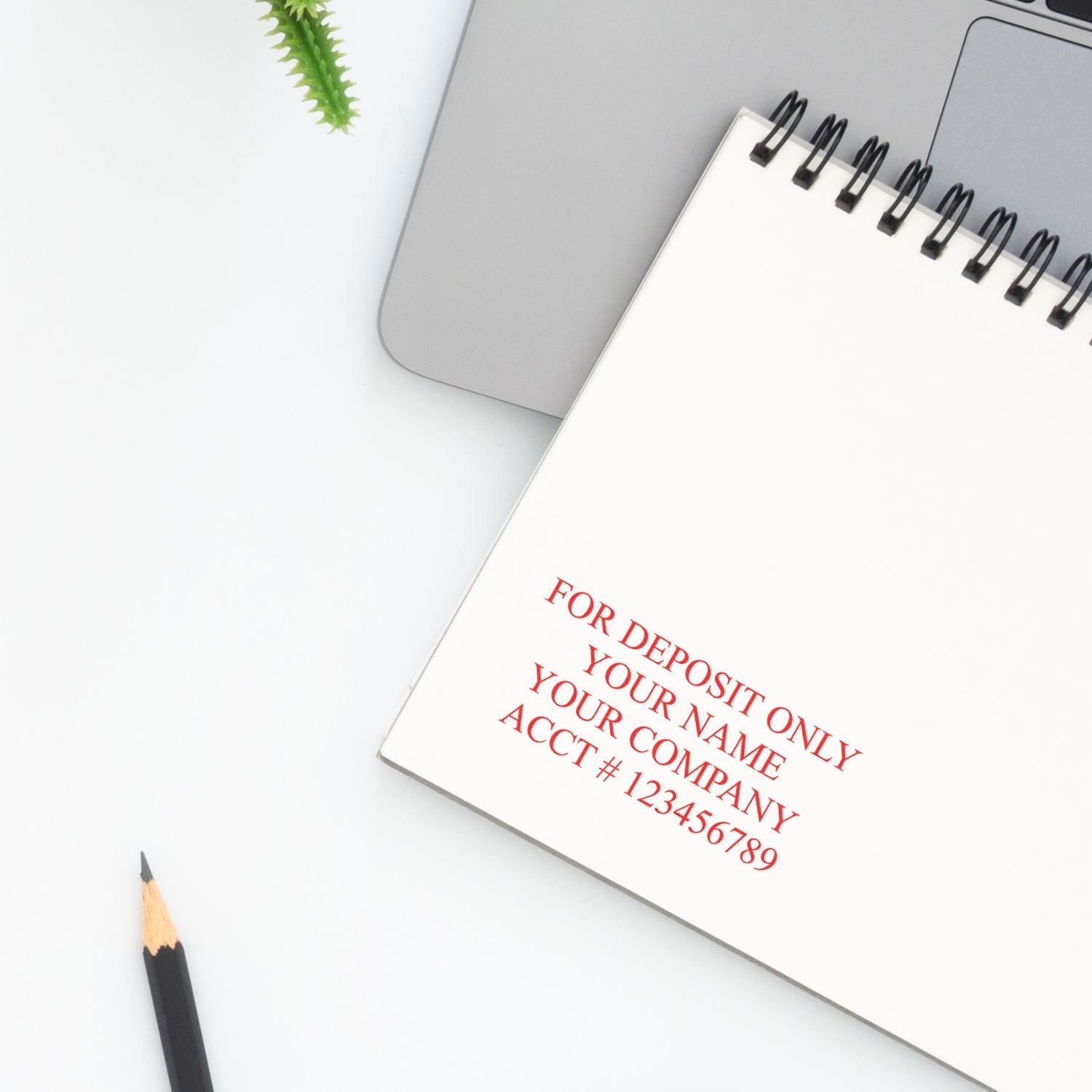 4 Line Regular Rubber Check Endorsement Stamp used on a notebook, placed next to a pencil, laptop, and small plant on a white desk.
