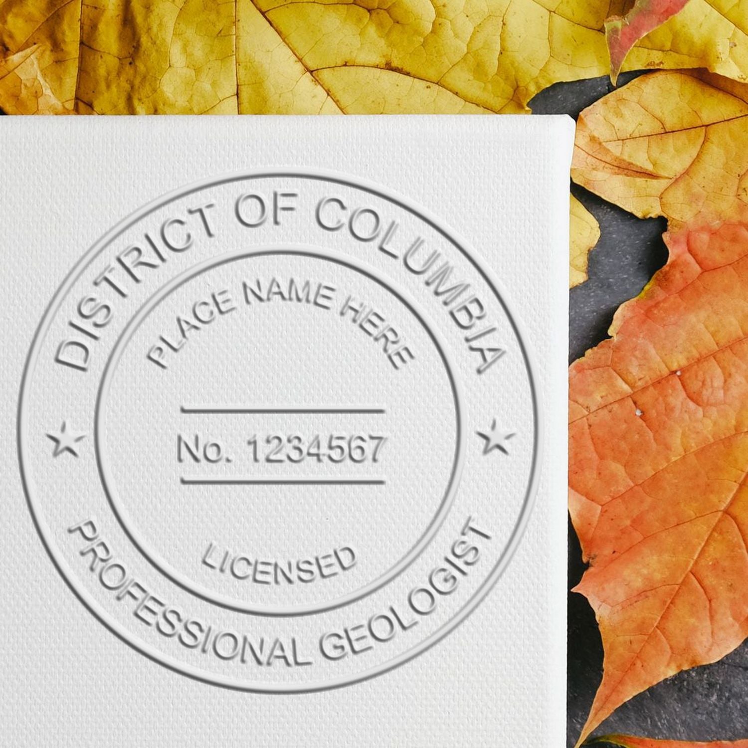 The main image for the State of District of Columbia Extended Long Reach Geologist Seal depicting a sample of the imprint and imprint sample