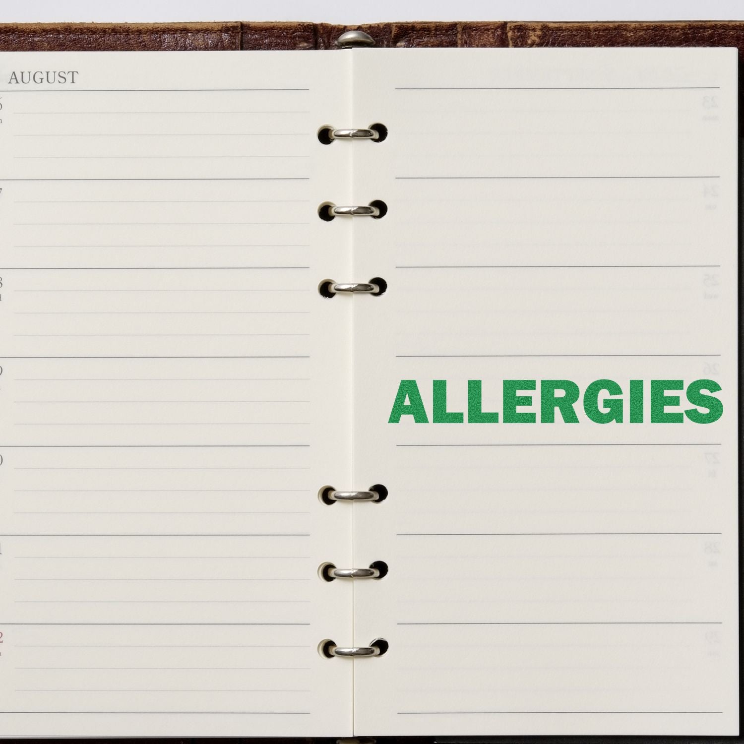 Open planner with ALLERGIES stamped in bold green ink using a Slim Pre-Inked Bold Allergies Stamp.