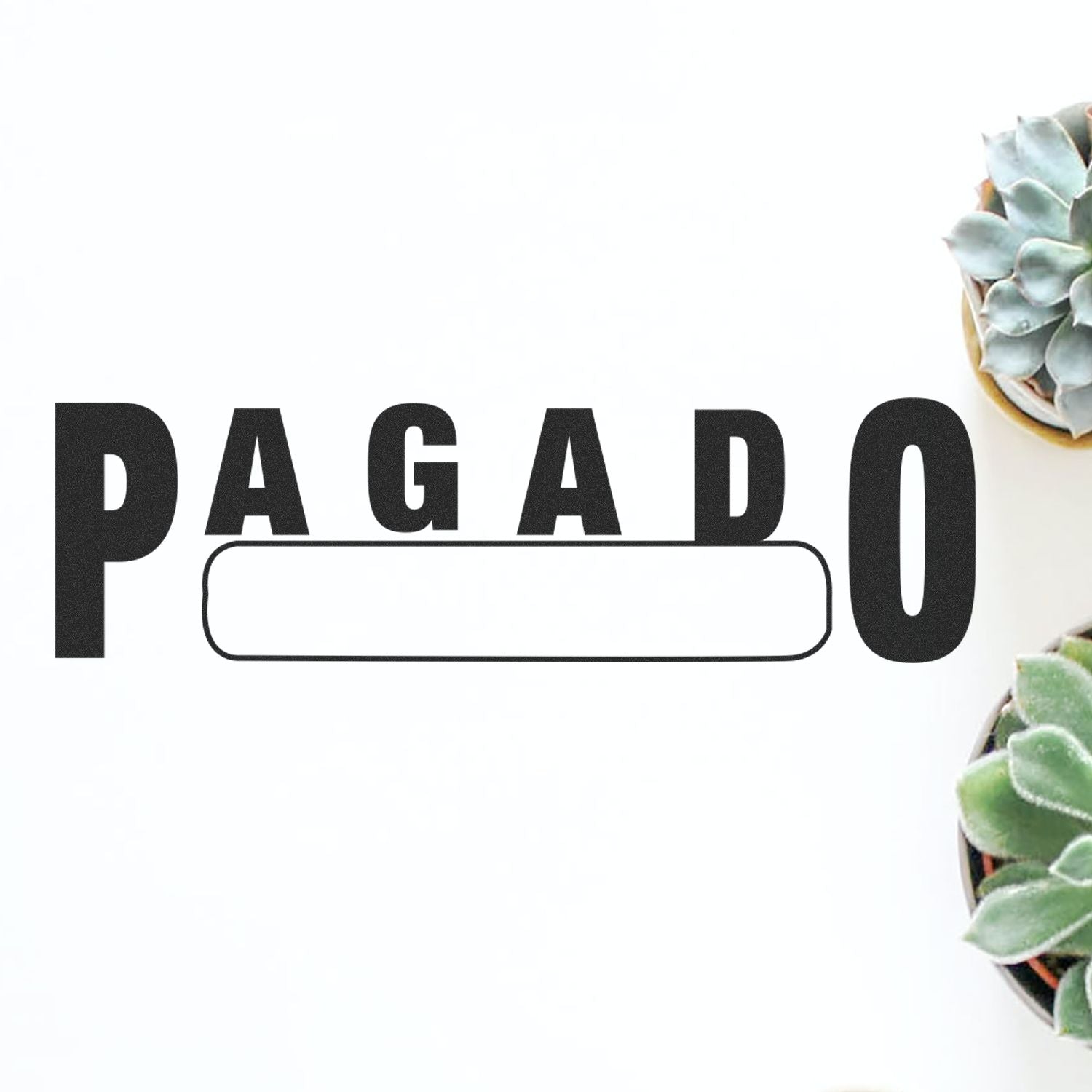 Pagado with Box Rubber Stamp on white background, surrounded by small succulent plants on the right side.