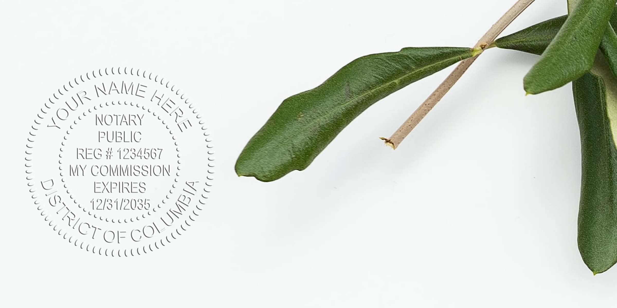 Embossed notary public seal impression on white paper with placeholder text and registration details, paired with a green olive branch on the right — minimalist legal stationery mockup for notary services and office branding
