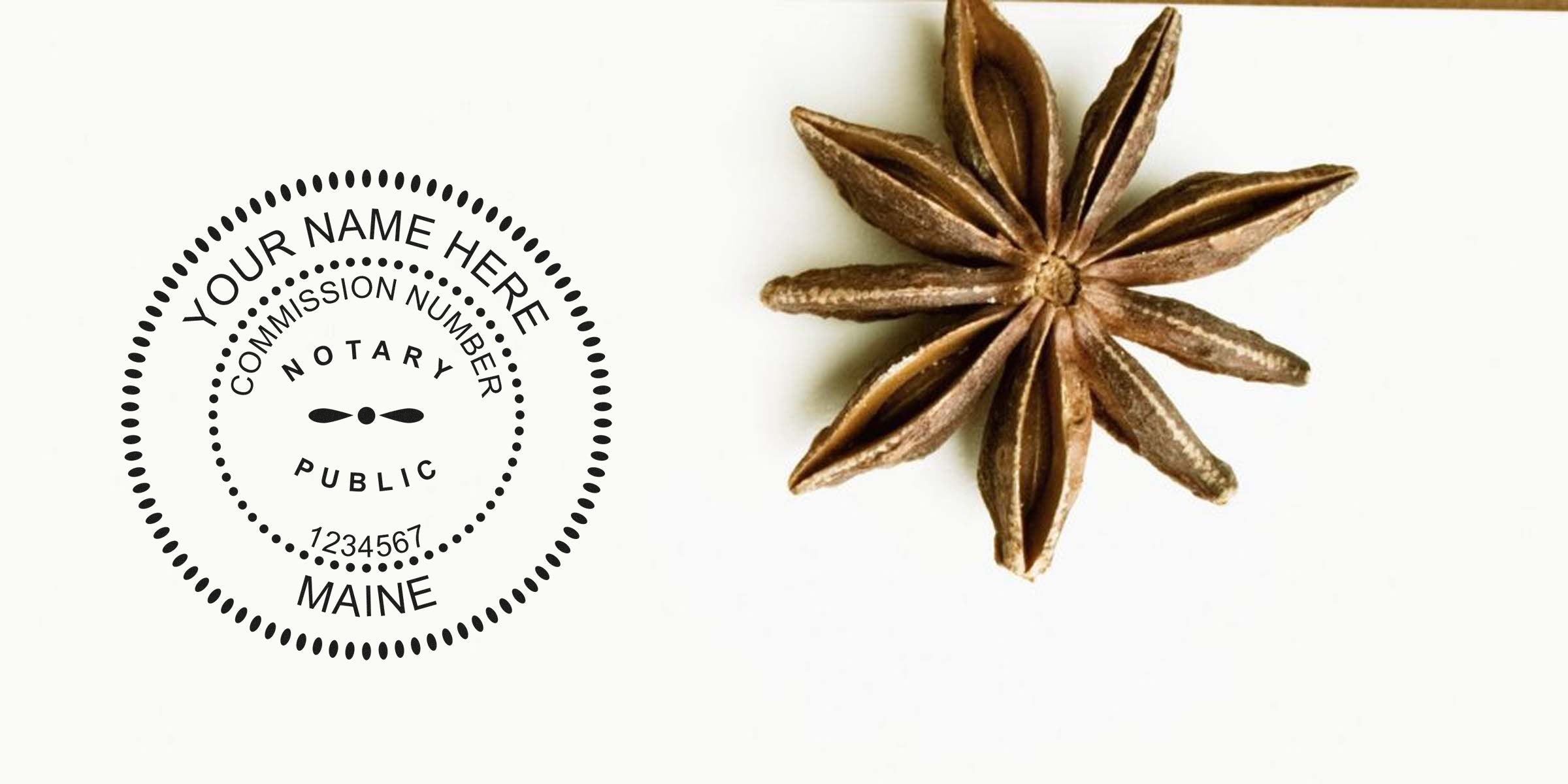 Customizable Maine notary seal stamp mockup with commission number placeholder, circular dotted design on white background, paired with brown star anise for decorative contrast