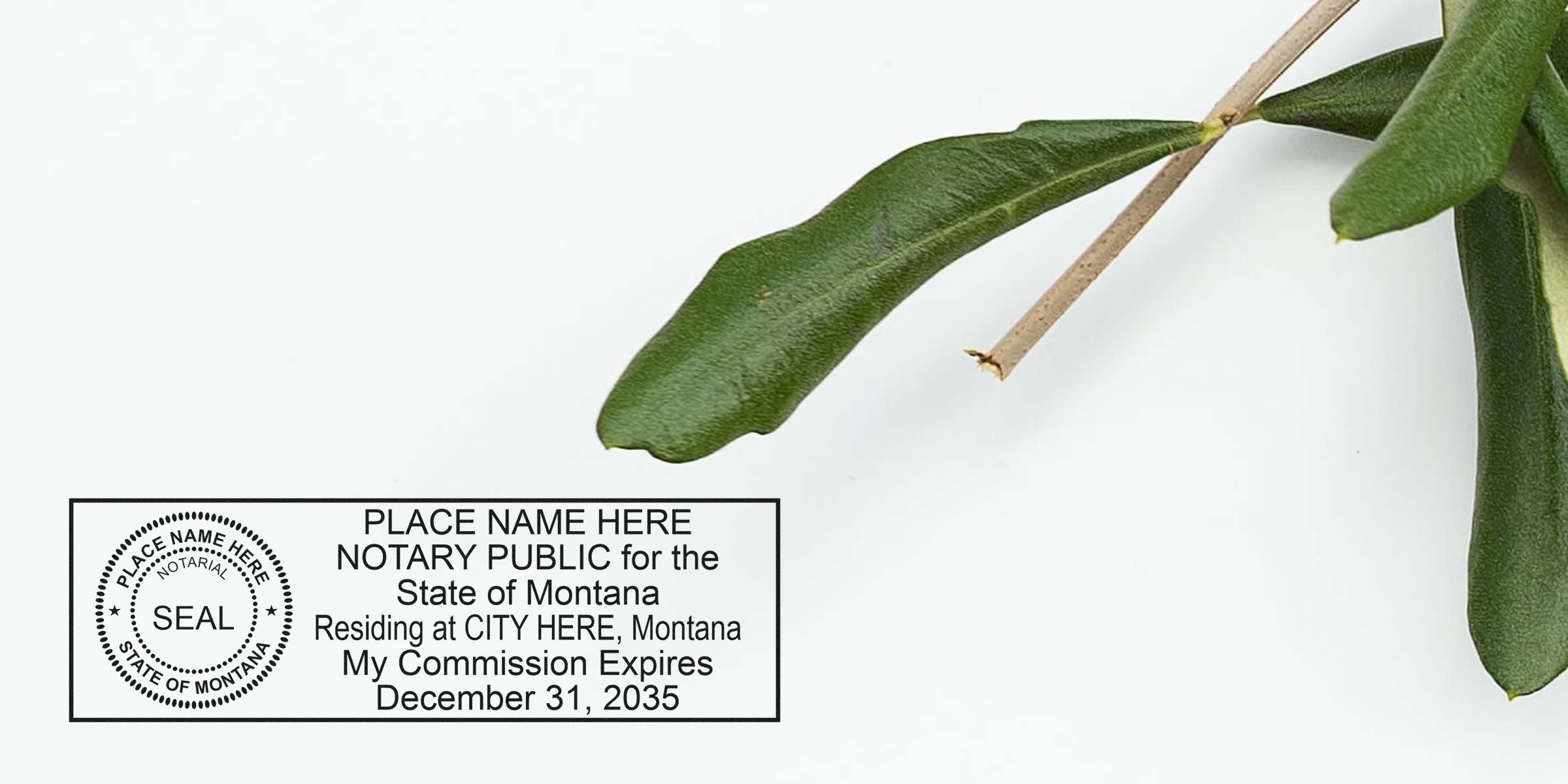 Notary public seal and rectangular stamp sample with placeholder text for State of Montana beside green leaves on a white background