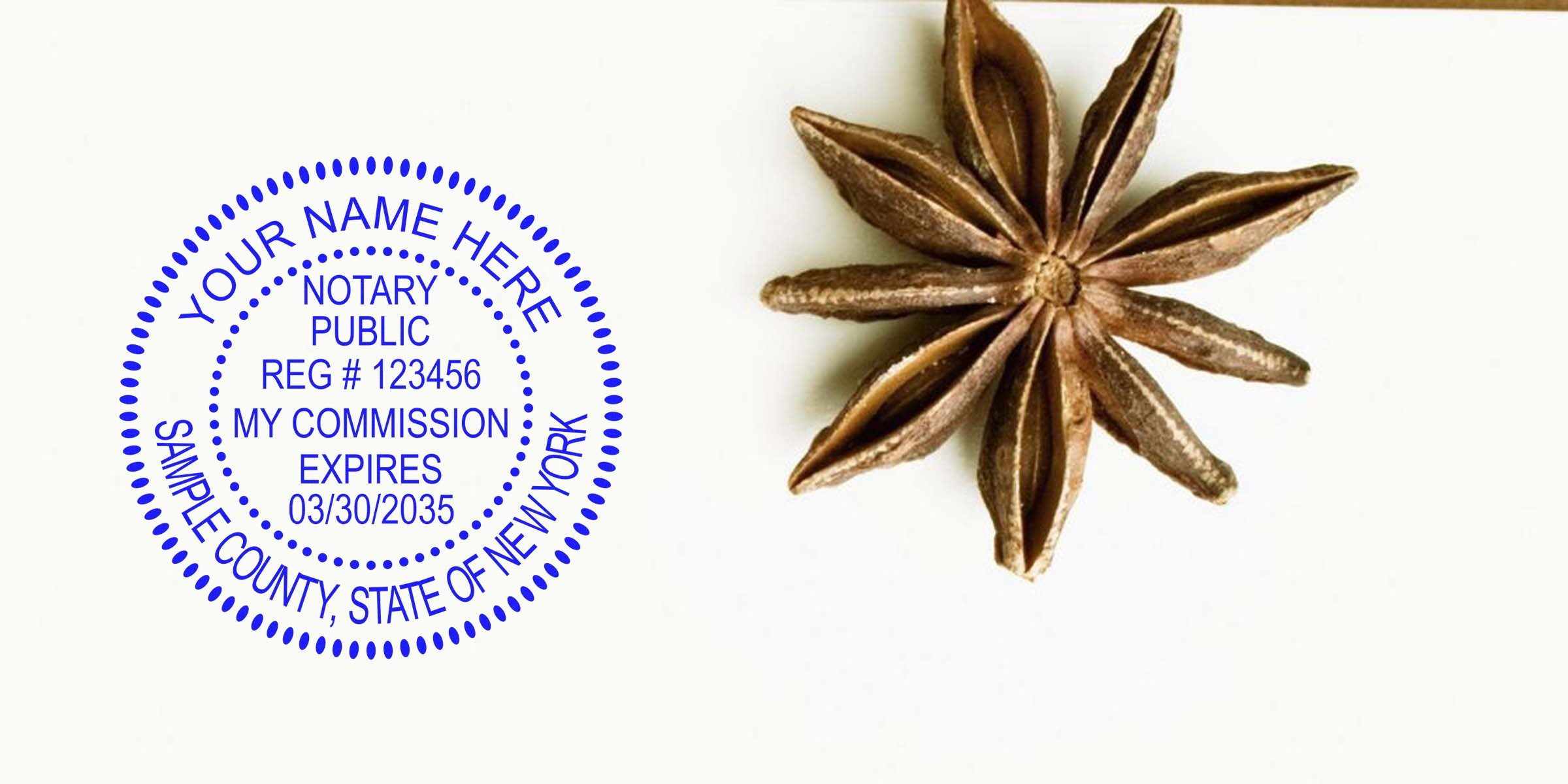 Blue notary public seal mockup with sample registration text on white background beside a brown star anise spice pod, minimalist layout