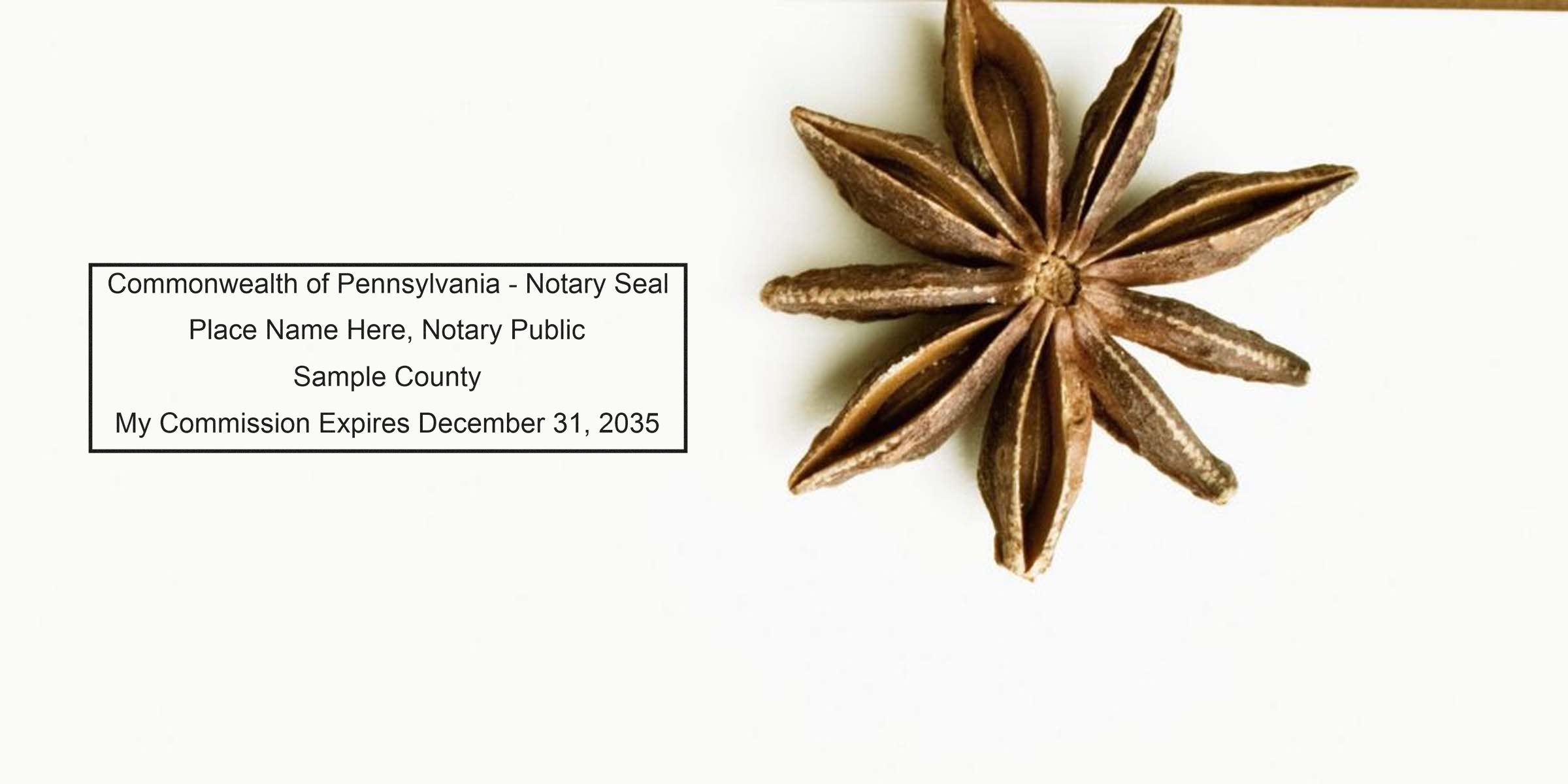 Notary seal sample stamp reading "Commonwealth of Pennsylvania - Notary Seal" inside a rectangular box beside a brown star anise spice on a clean white background